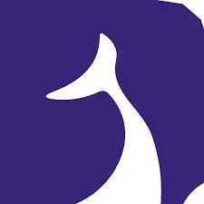 Delfiny AI Logo