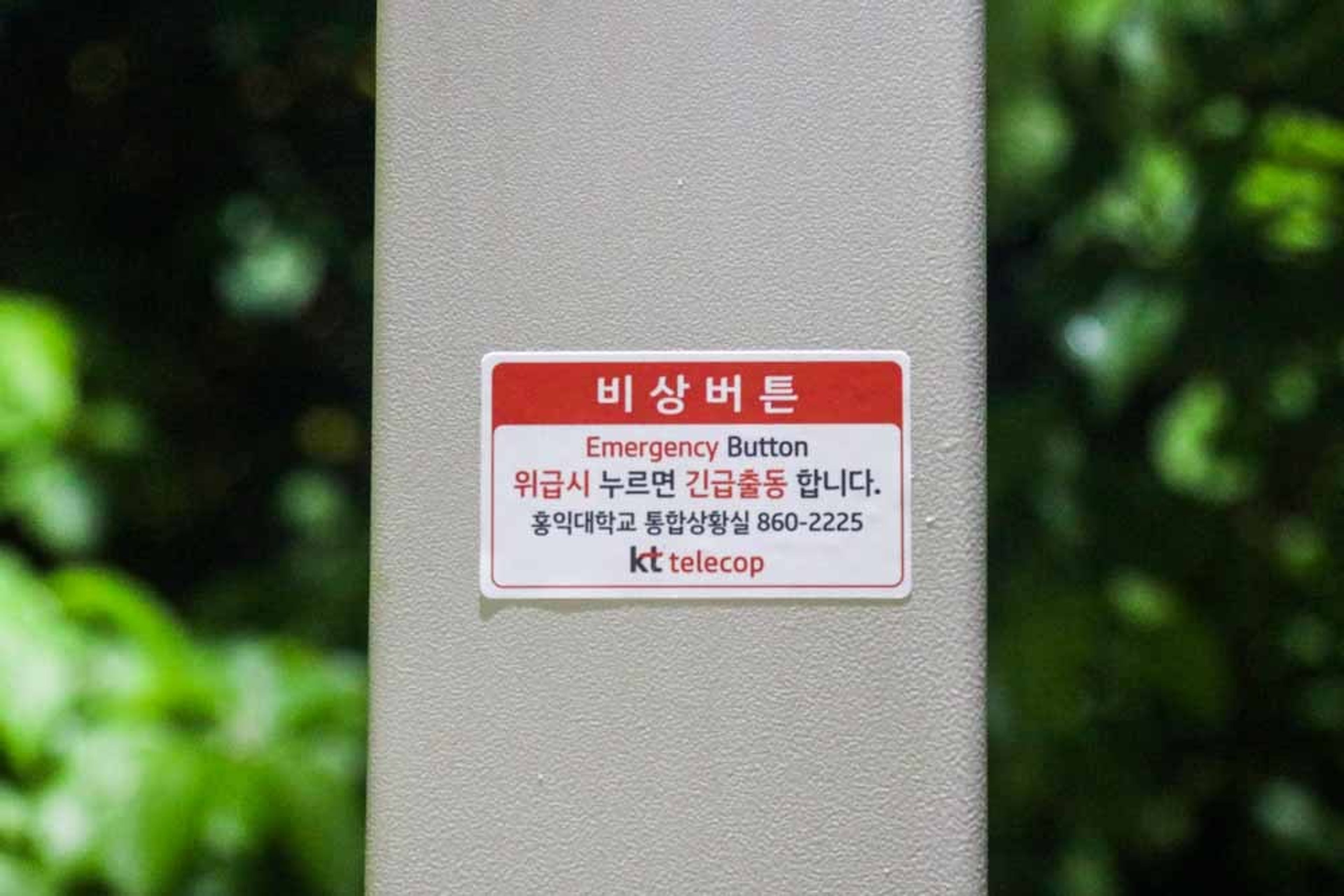 가로등 꺼진 홍익대학교 세종캠퍼스의 밤, 안전 체계에 대해 생각하다.