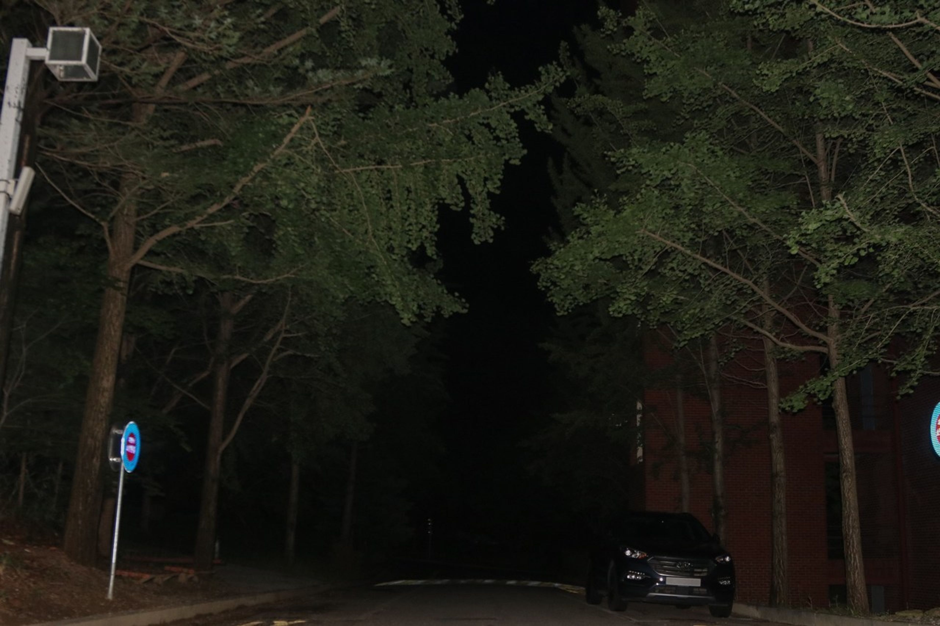 가로등 꺼진 홍익대학교 세종캠퍼스의 밤, 안전 체계에 대해 생각하다.