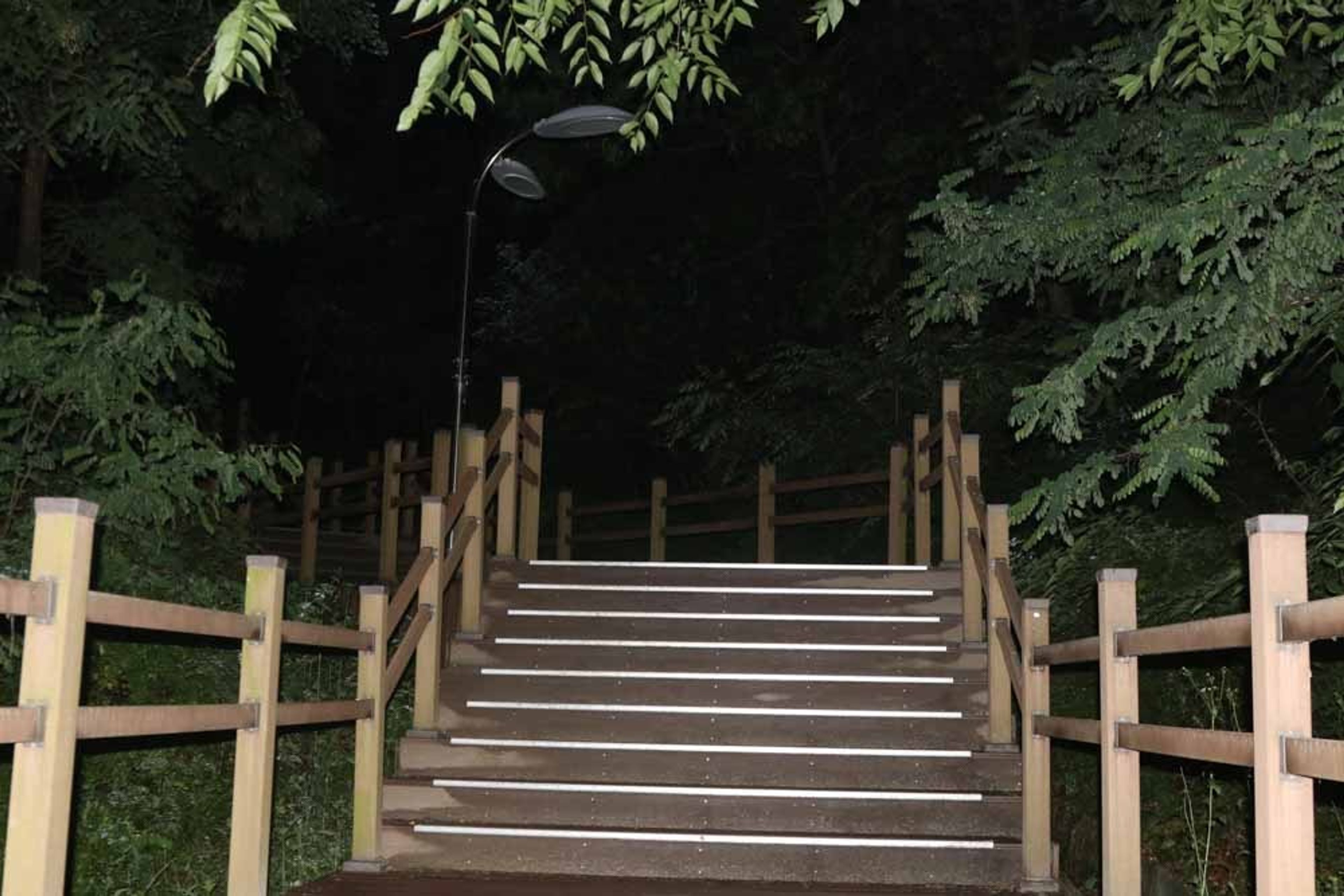 가로등 꺼진 홍익대학교 세종캠퍼스의 밤, 안전 체계에 대해 생각하다.