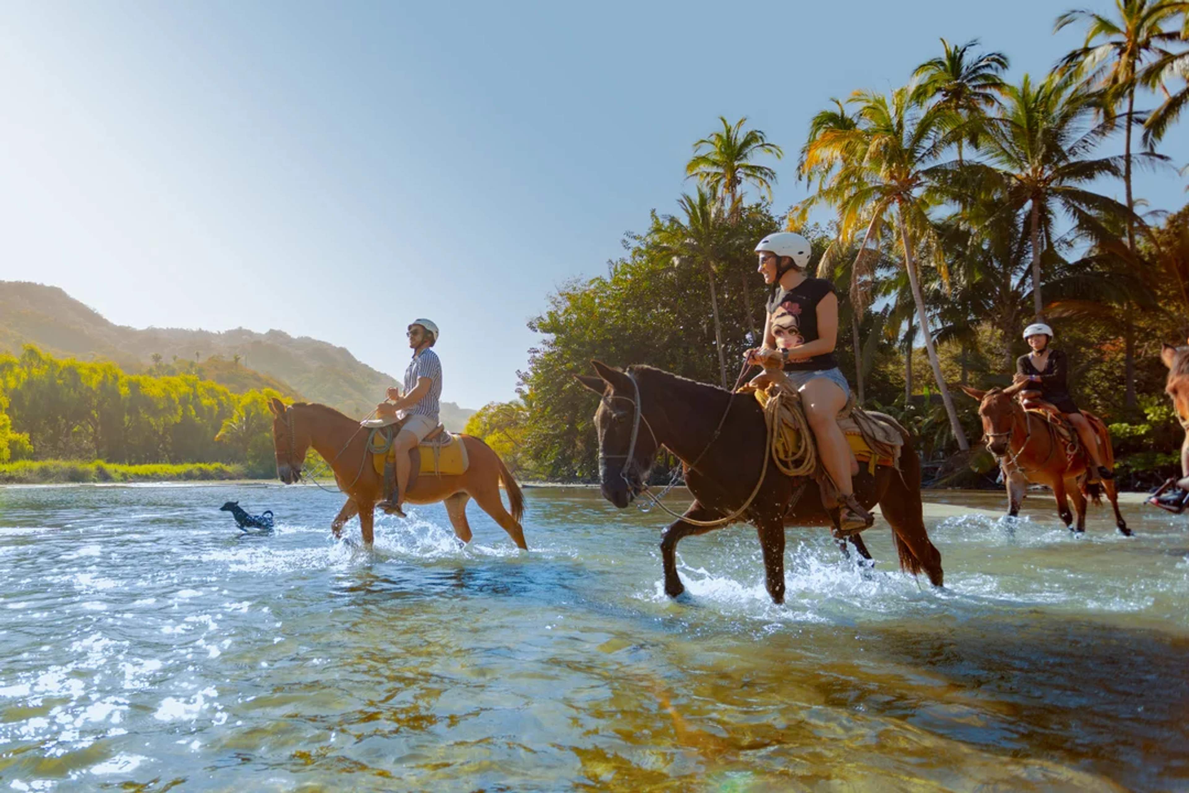 Riders cross a shallow river on horseback, surrounded by lush greenery and palm trees under a bright, clear sky.