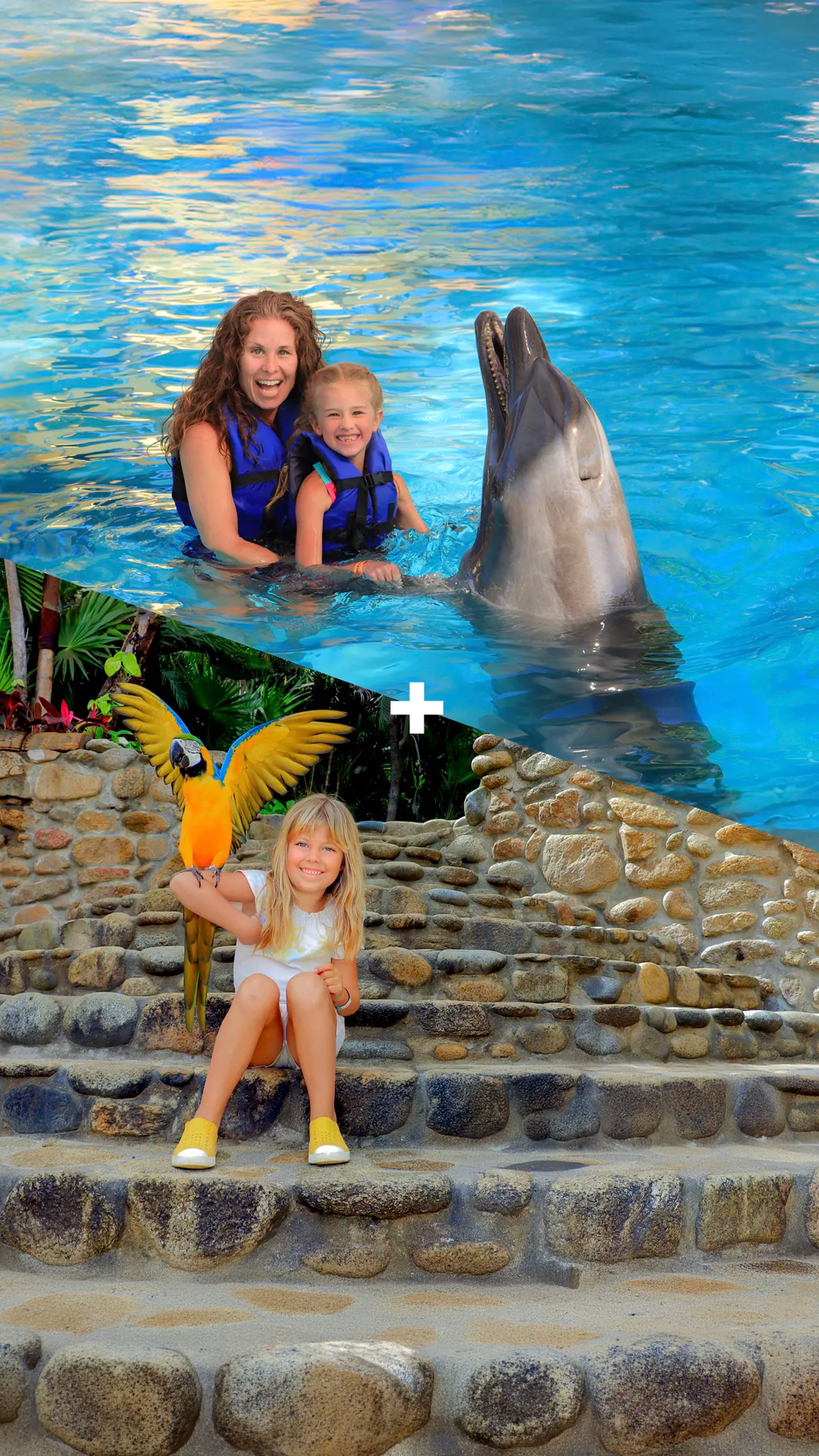 Los Mejores Paquetes de Tours en Puerto Vallarta con Vallarta Adventures
