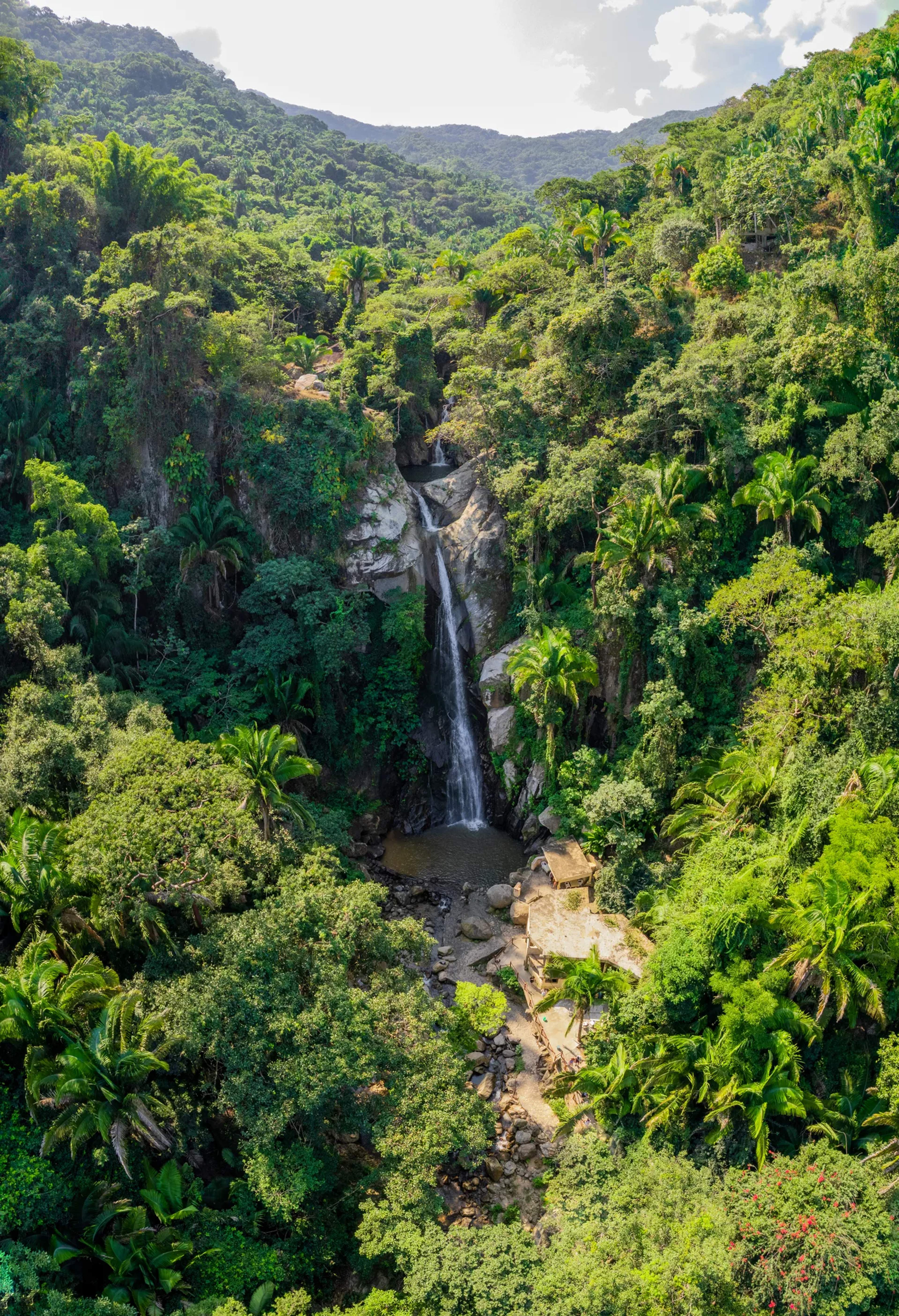 A lush jungle waterfall cascades into a clear pool surrounded by dense tropical forest in the Yelapa region.