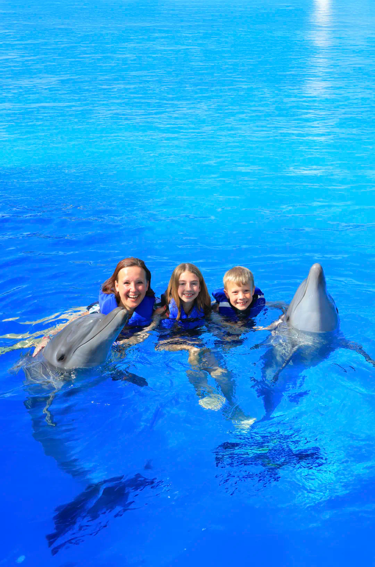 A family enjoying endearing moments with dolphins in Puerto Vallarta.