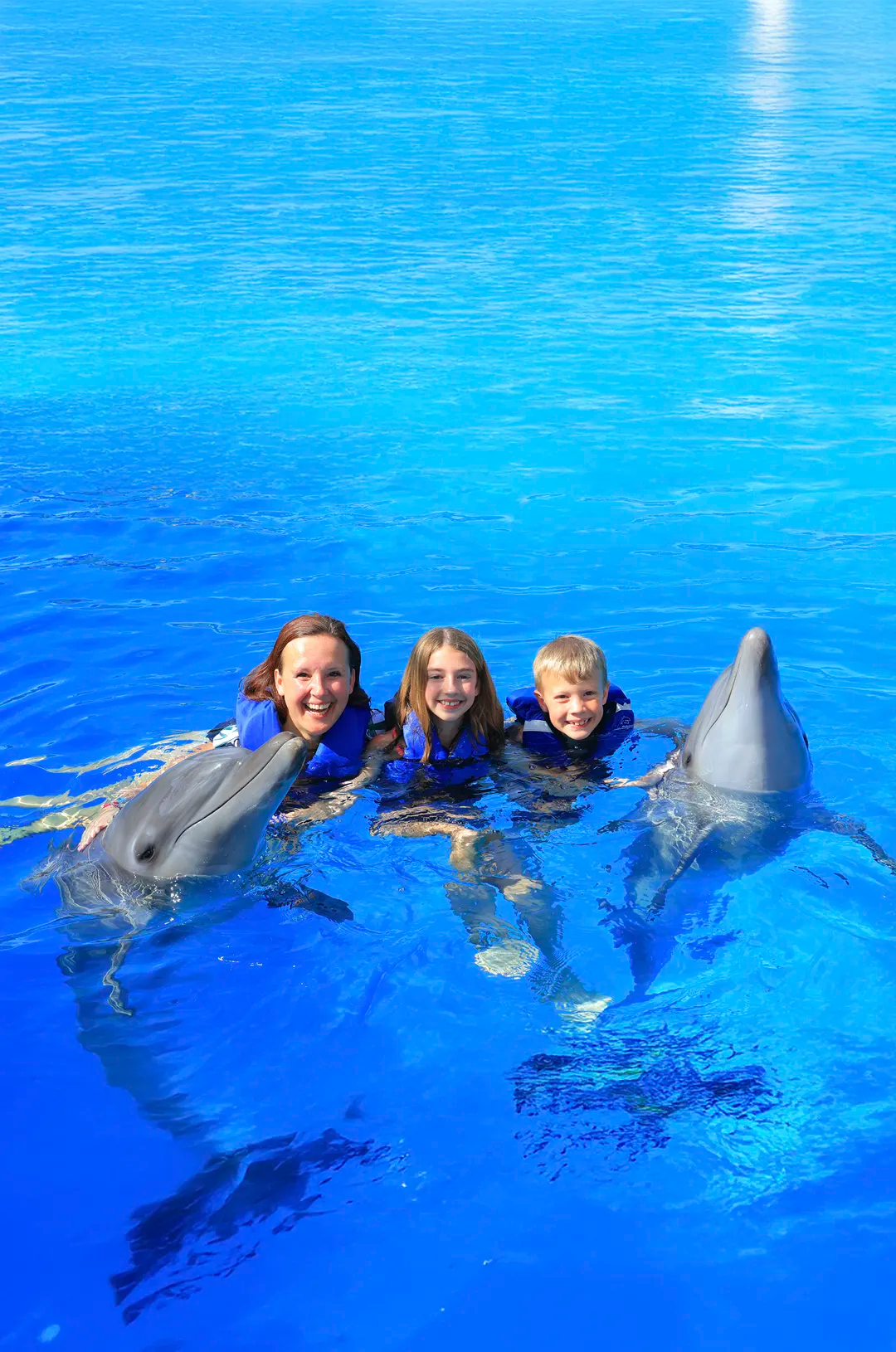 Una familia disfrutando momentos tiernos con delfines en Puerto Vallarta.