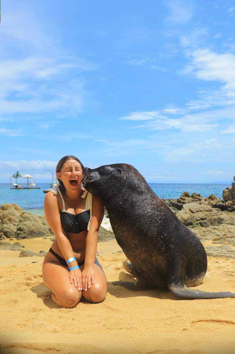 A woman laughs as a sea lion kisses her on the beach at Las Caletas, Puerto Vallarta.