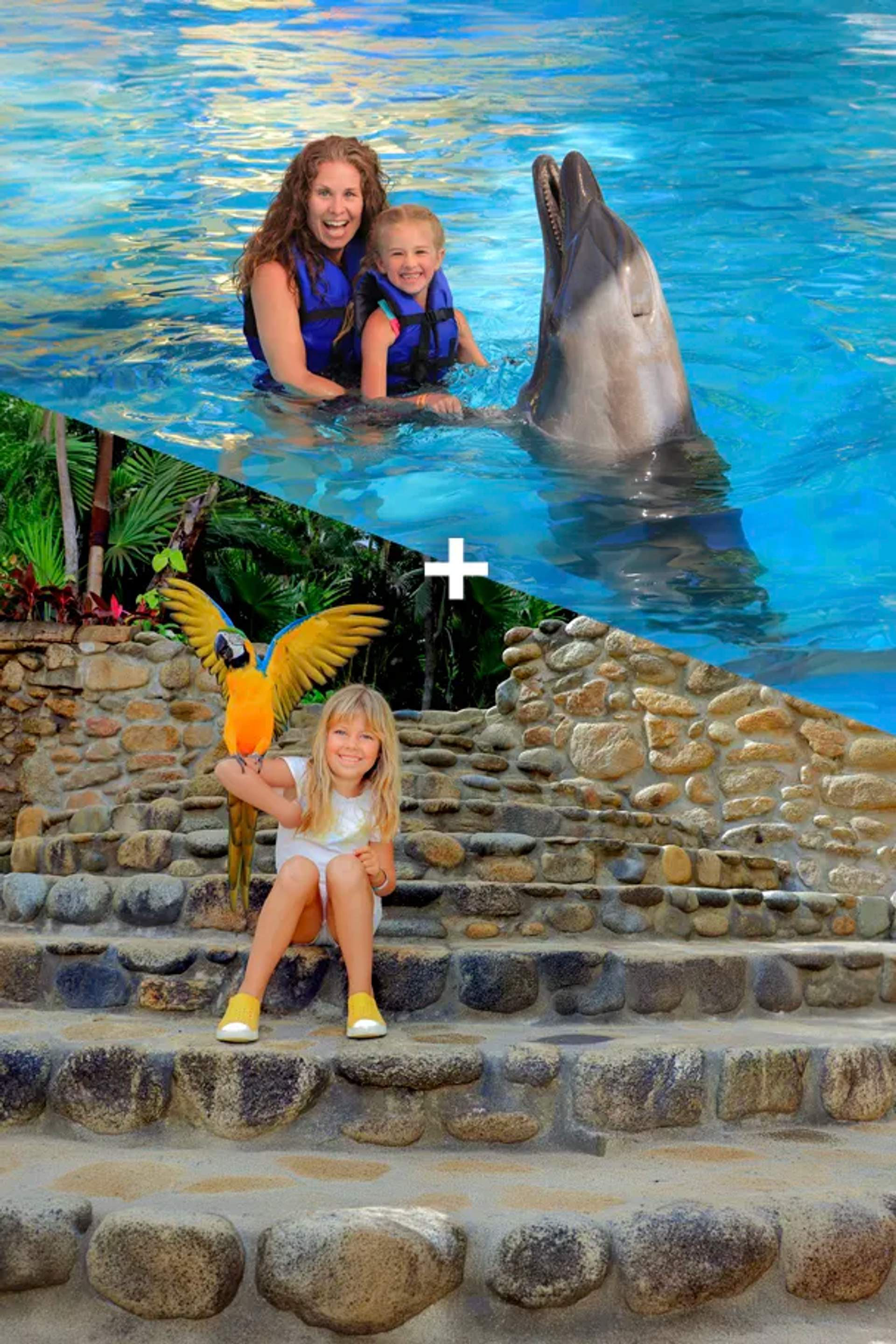 Enjoy the Best Puerto Vallarta Tour Packages.
