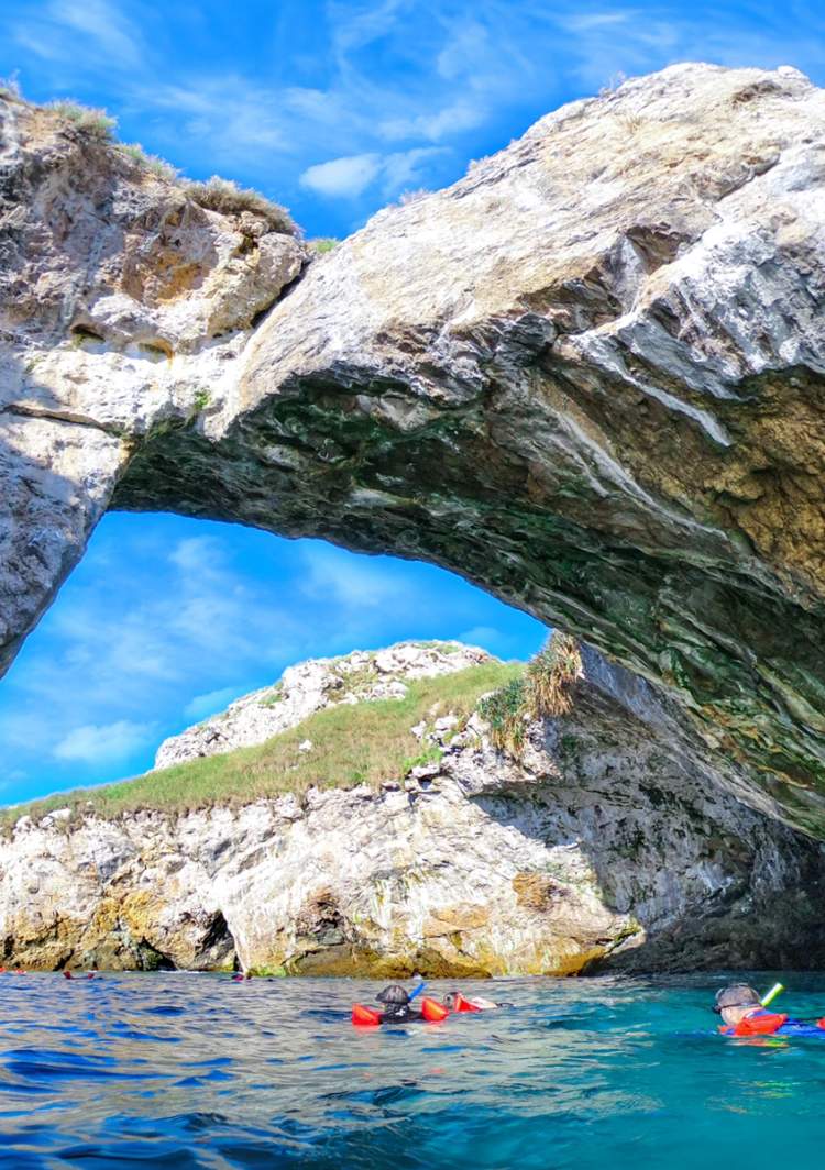 The best Marietas Islands tour in Puerto Vallarta
