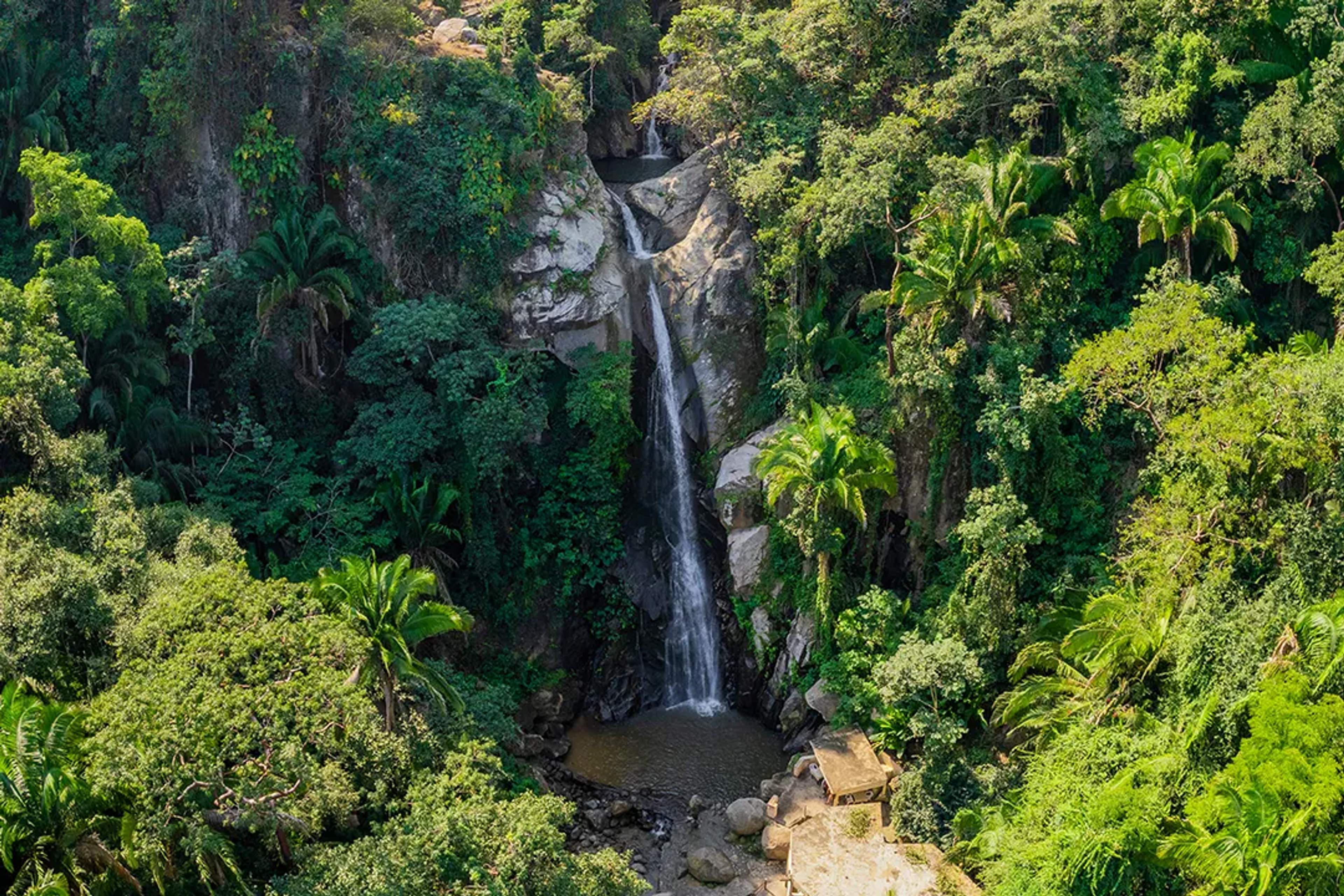 Cascada escondida cae entre acantilados selváticos hacia una tranquila poza natural.