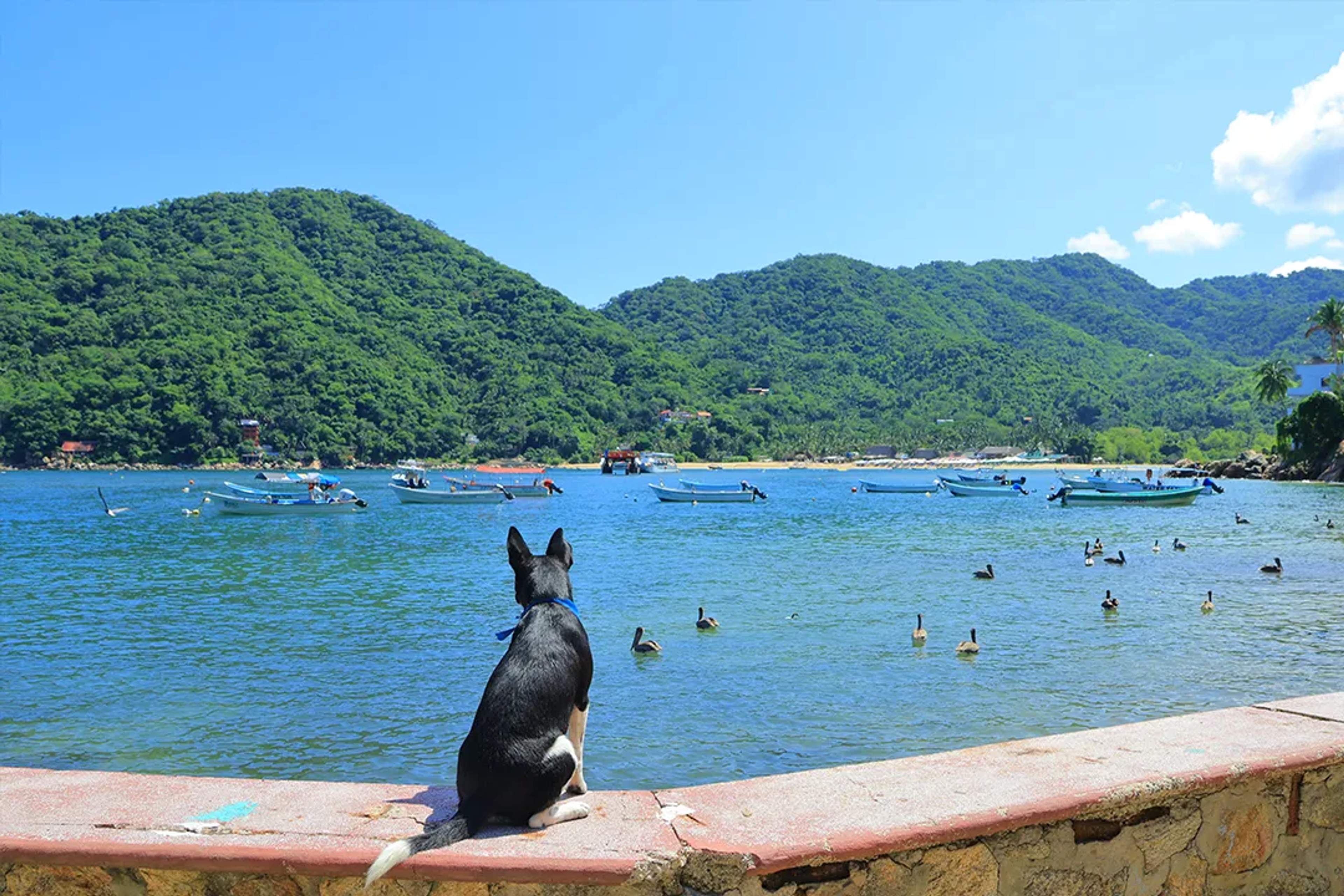Scenic Yelapa bay view near Puerto Vallarta with boats and Sierra Madre mountains on coastal village tour