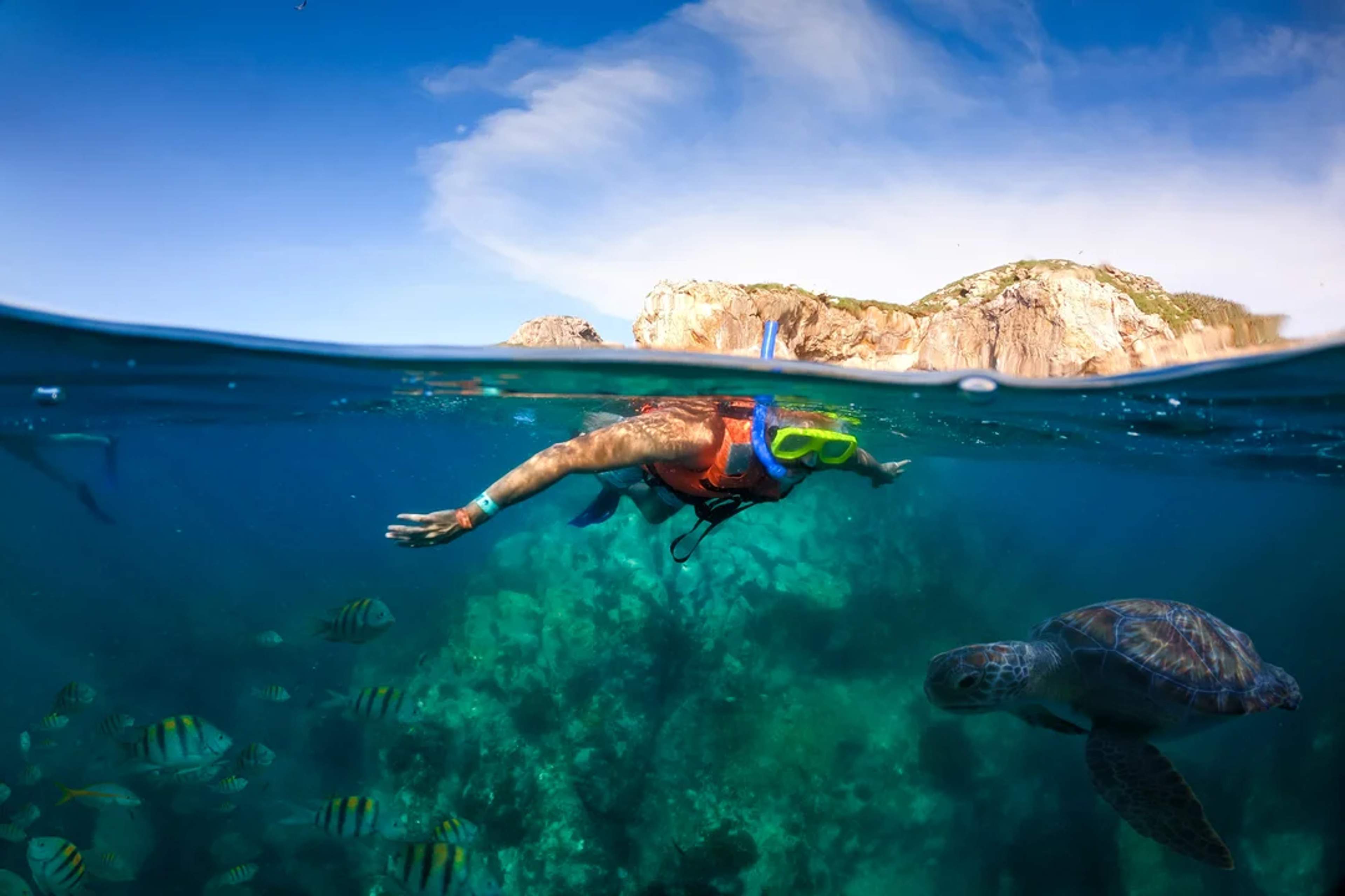 Snorkeler swims near colorful fish and a sea turtle in clear waters by rocky islands.