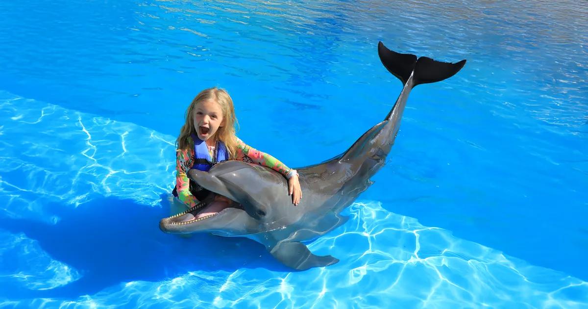 Kid Friendly Dolphin Encounter | Vallarta Adventures