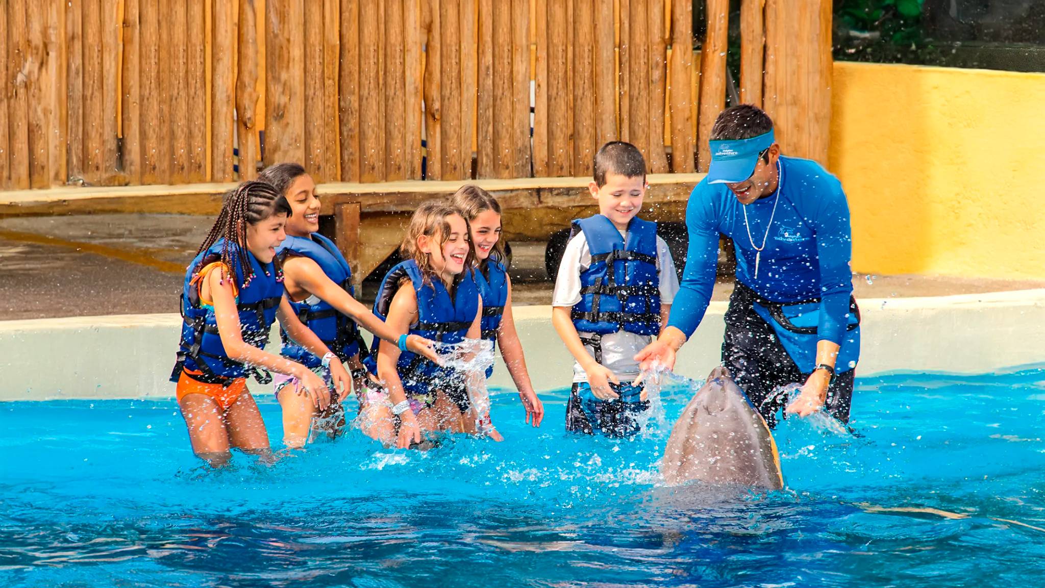 Kid Friendly Dolphin Encounter | Vallarta Adventures