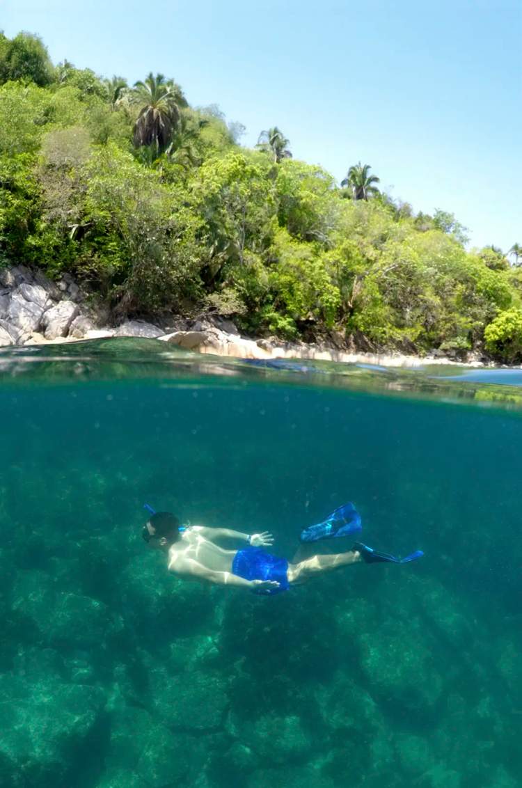 Traveler snorkeling in clear waters near Yelapa and Majahuitas in a fun ecotourism tour.
