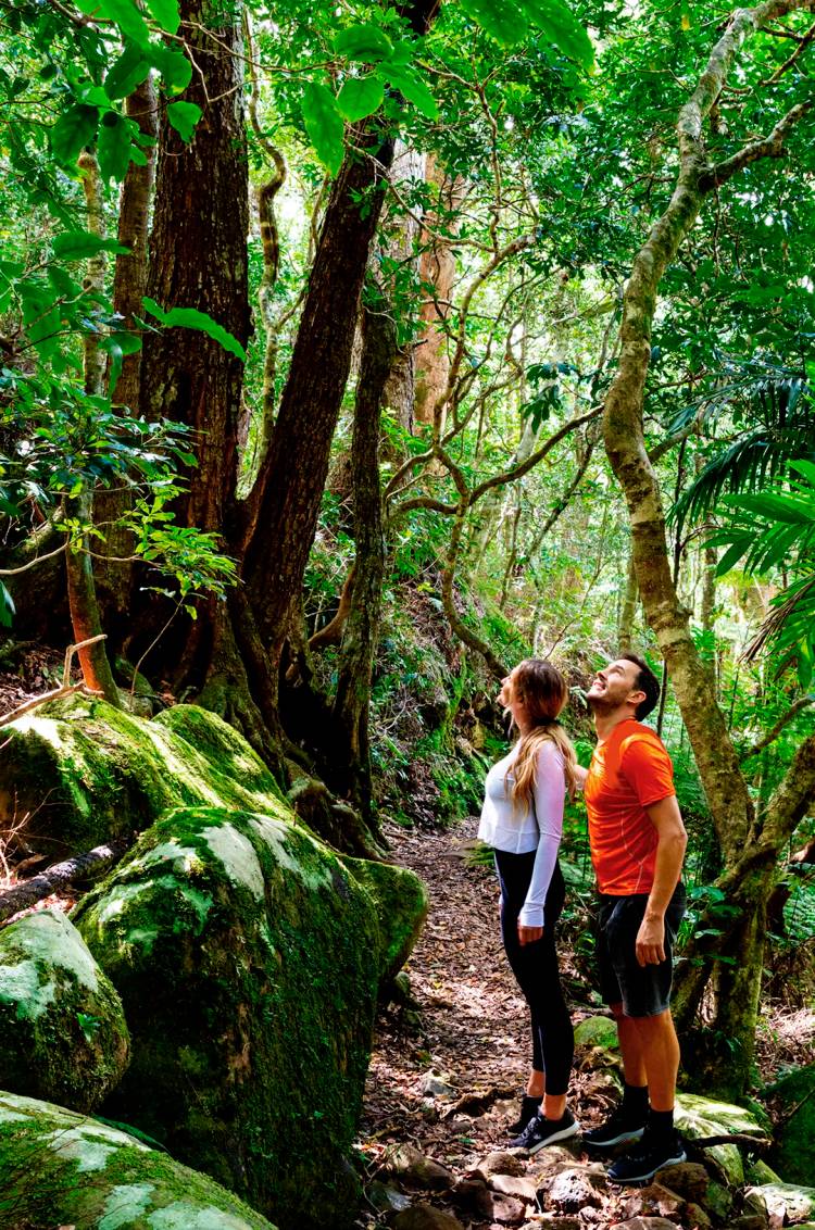 Couple enjoying at Puerto Vallarta hiking, as part of the All Terrain tour.