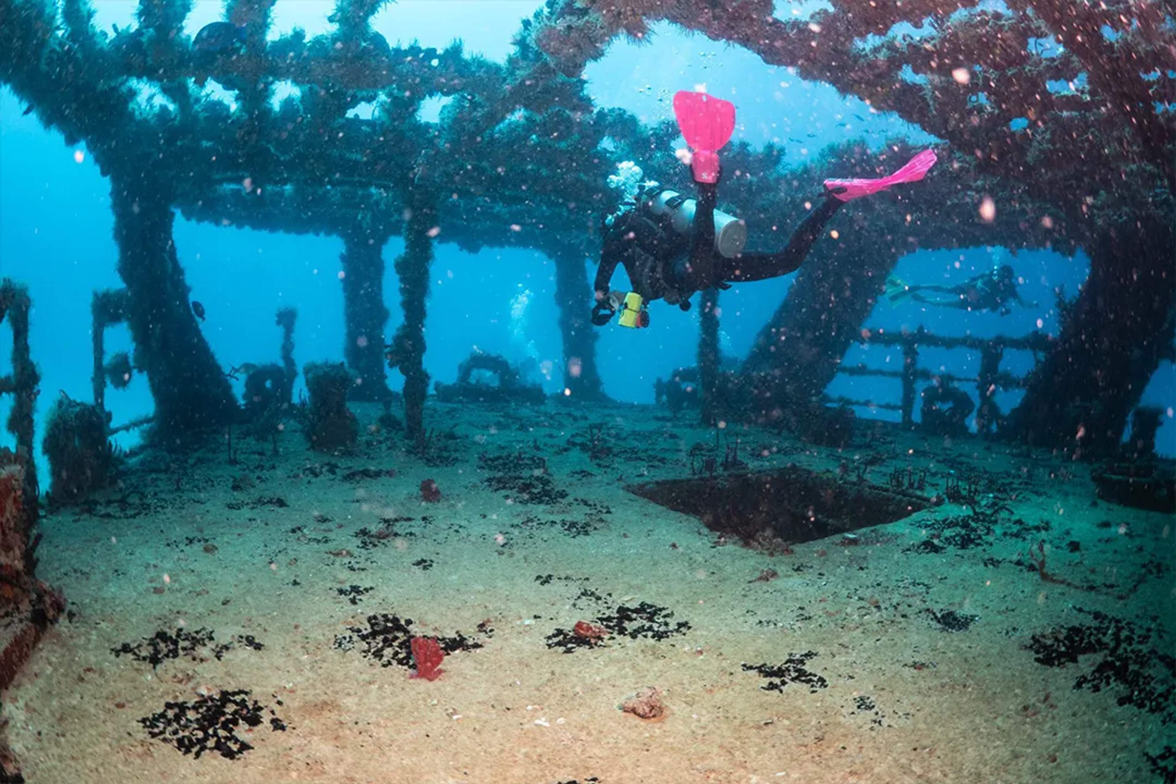Diver explores the interior of the sunken shipwreck Juan Escutia, en Puerto Morelos, now home to marine life in the deep sea.