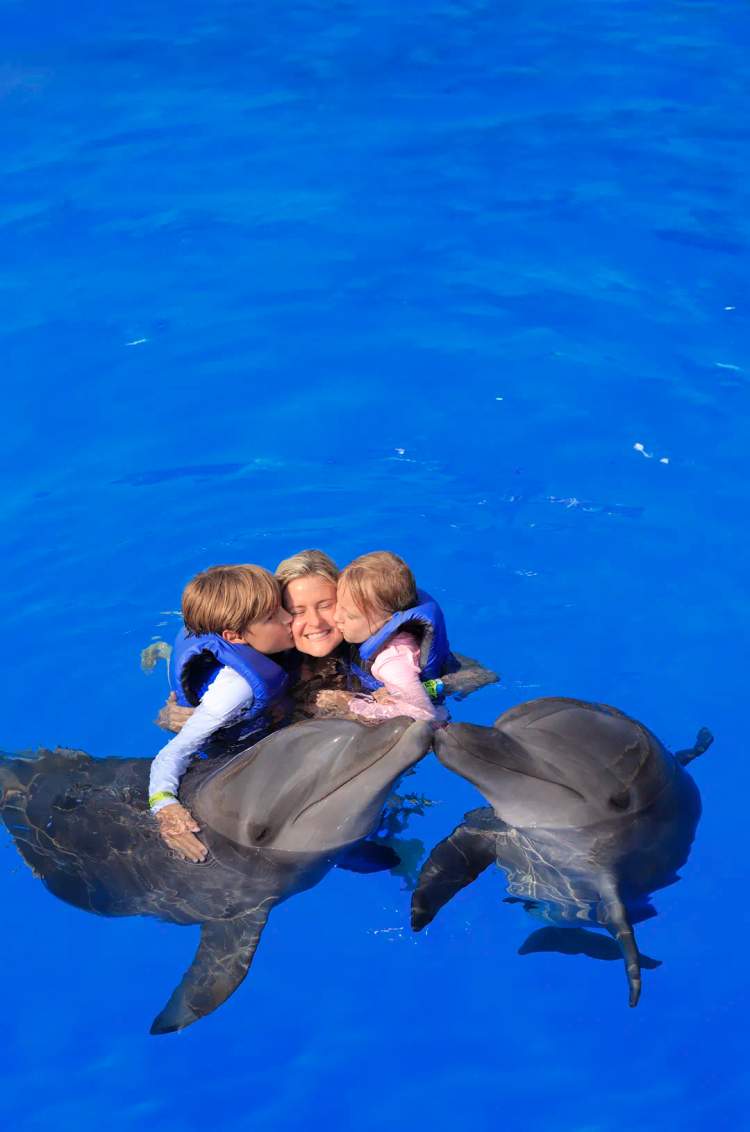 Family kissing a dolphin during a Private Dolphin swim in Puerto Vallarta.