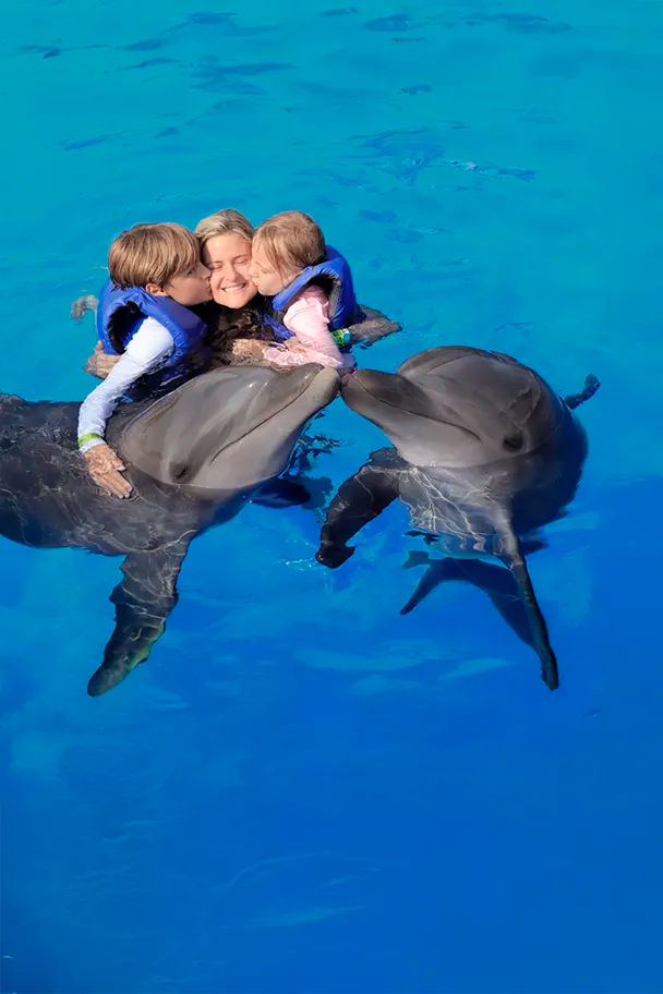 Swim with dolphins Puerto Vallarta