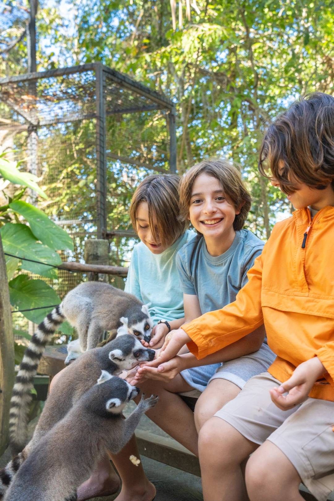 Puerto Vallarta Parasailing at Las Caletas