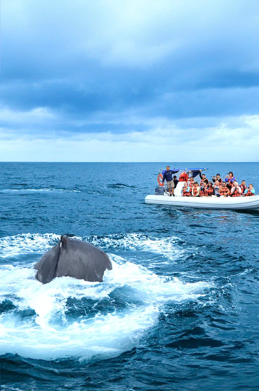 Viajeros en un tour de ecoturismo en Puerto Vallarta de avistamiento de ballenes, a bordo de una lancha rápida.
