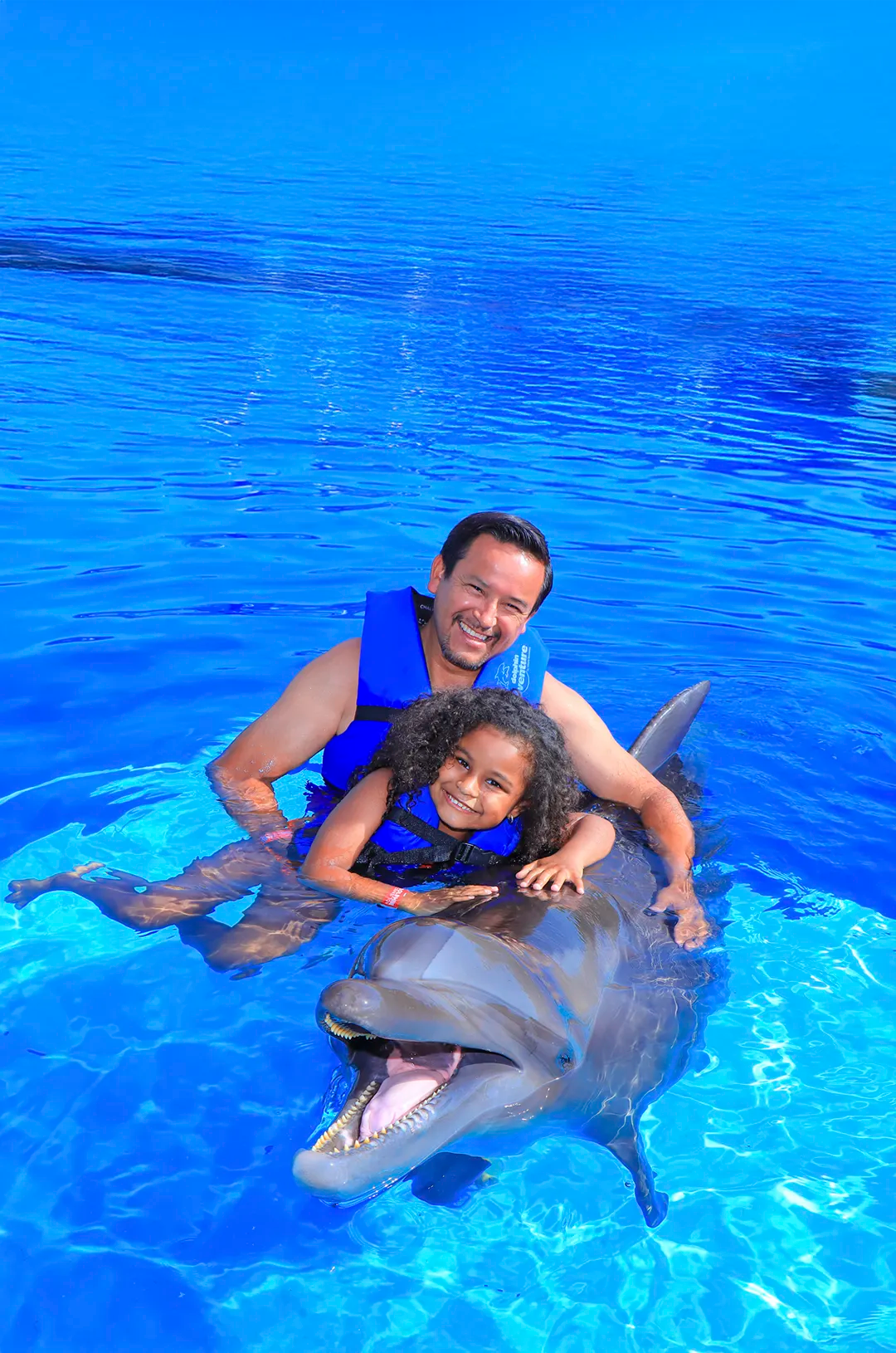 Familia disfrutando momentos felices con un delfín en Puerto Vallarta.