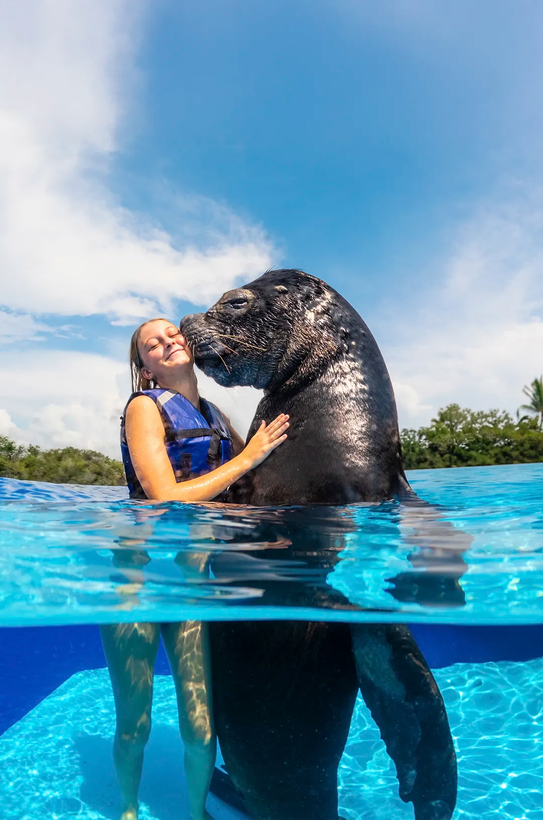 Chica feliz abrazando un lobo marino en Puerto Vallarta en el Centro de Mamíferos Marinos de Vallarta Adventures.
