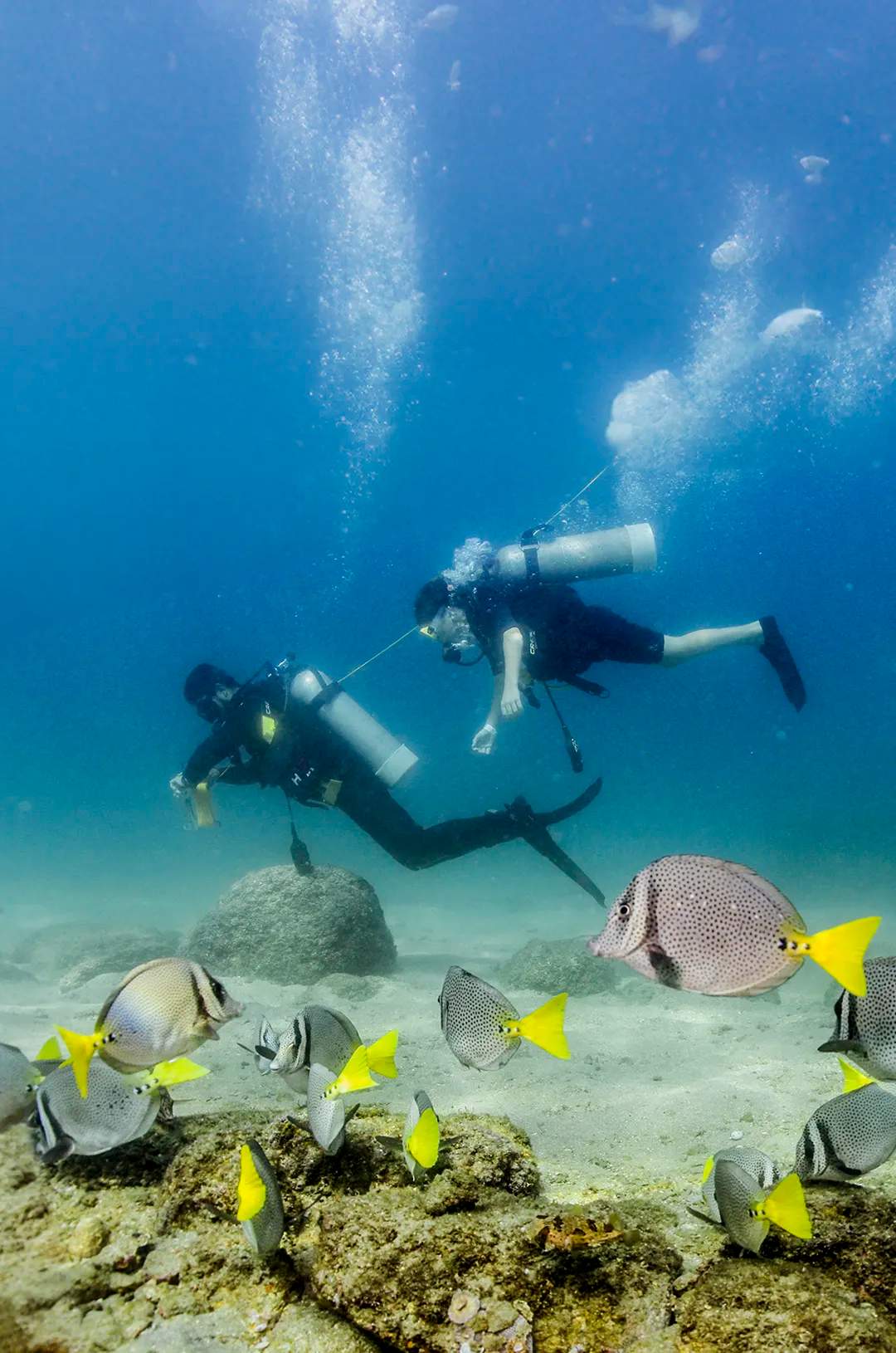 Beginner divers admiring the underwater world for the first time.