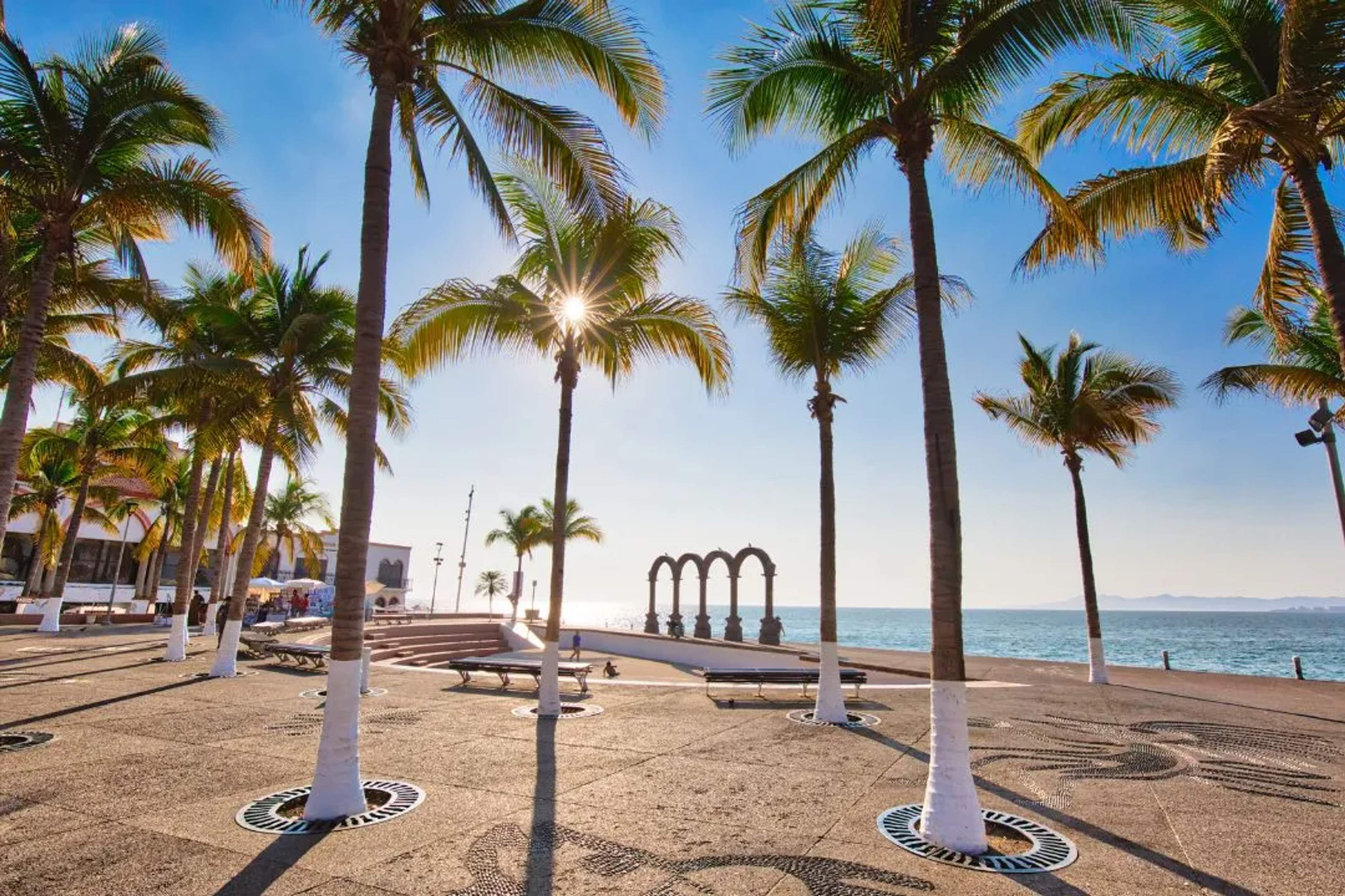 Puerto Vallarta y palmeras