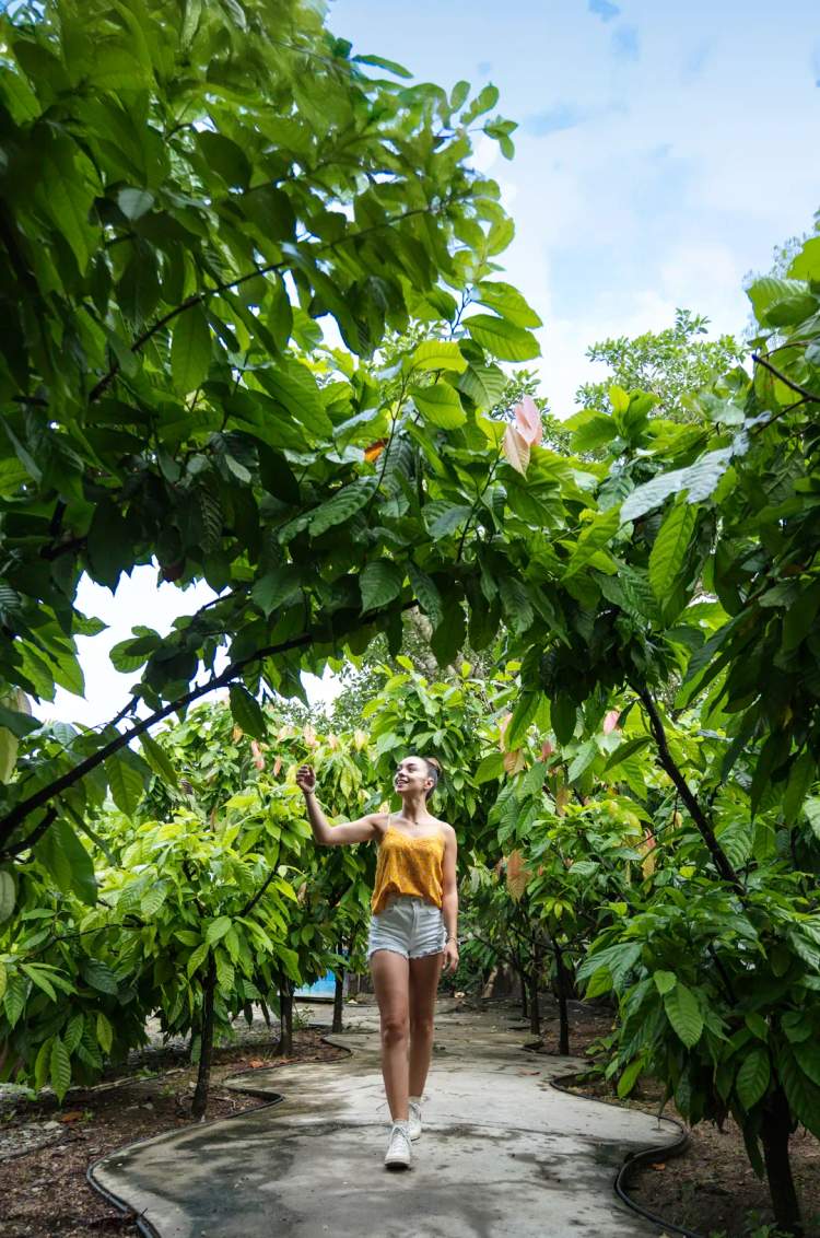 Visita a una exuberante plantación de cacao durante un tour cultural cerca de Puerto Vallarta.
