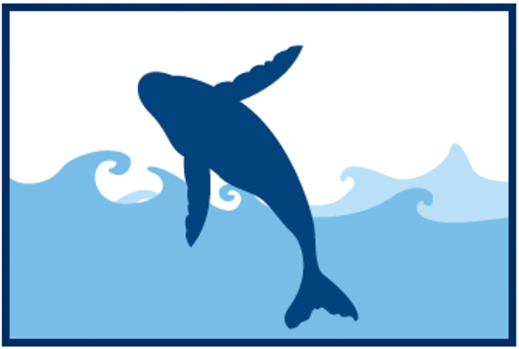 Ilustración de una ballena jorobada saltando fuera del agua, mostrando un comportamiento acrobático.