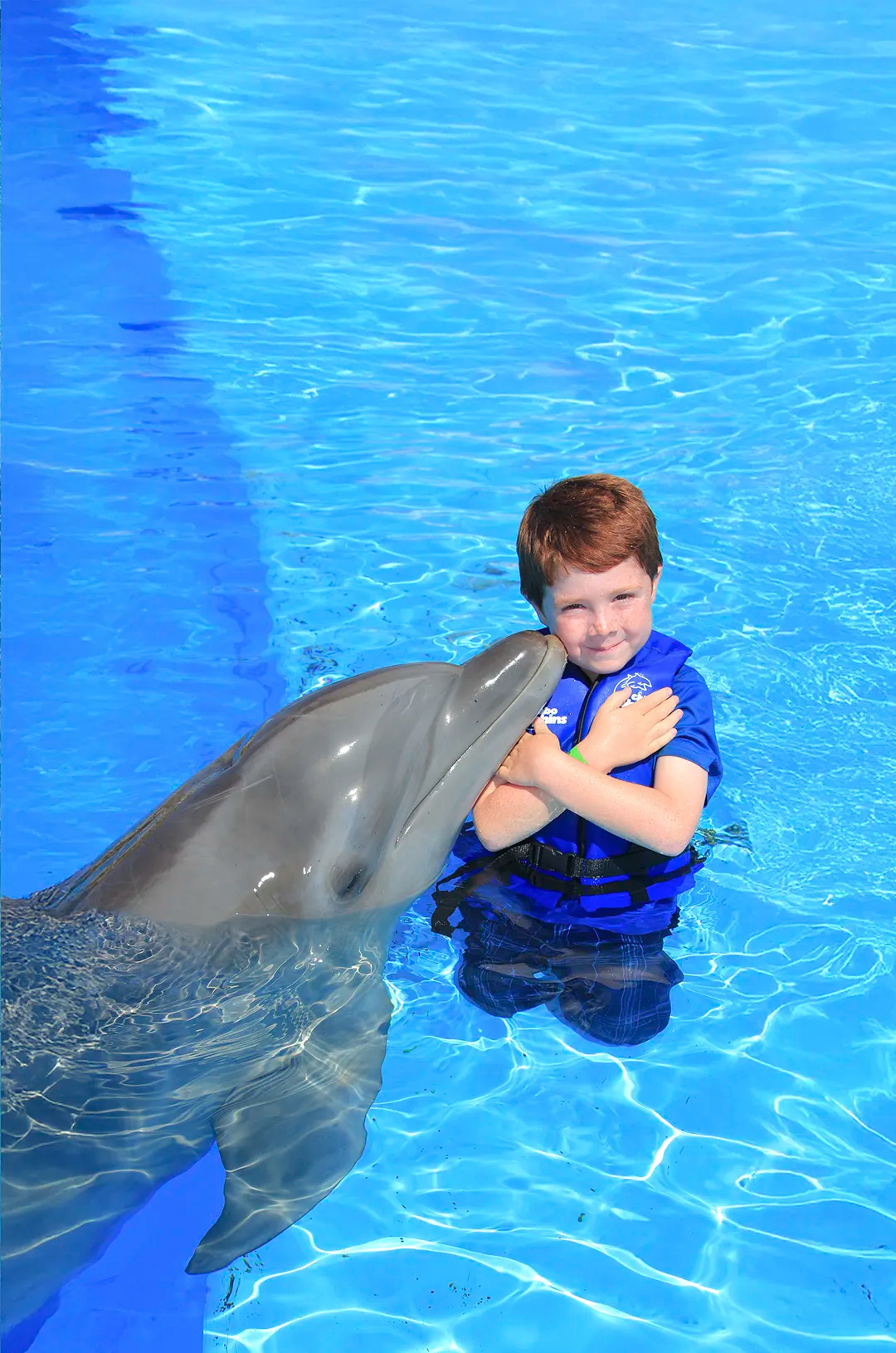 Kid swimming with dolphins in Puerto Vallarta.