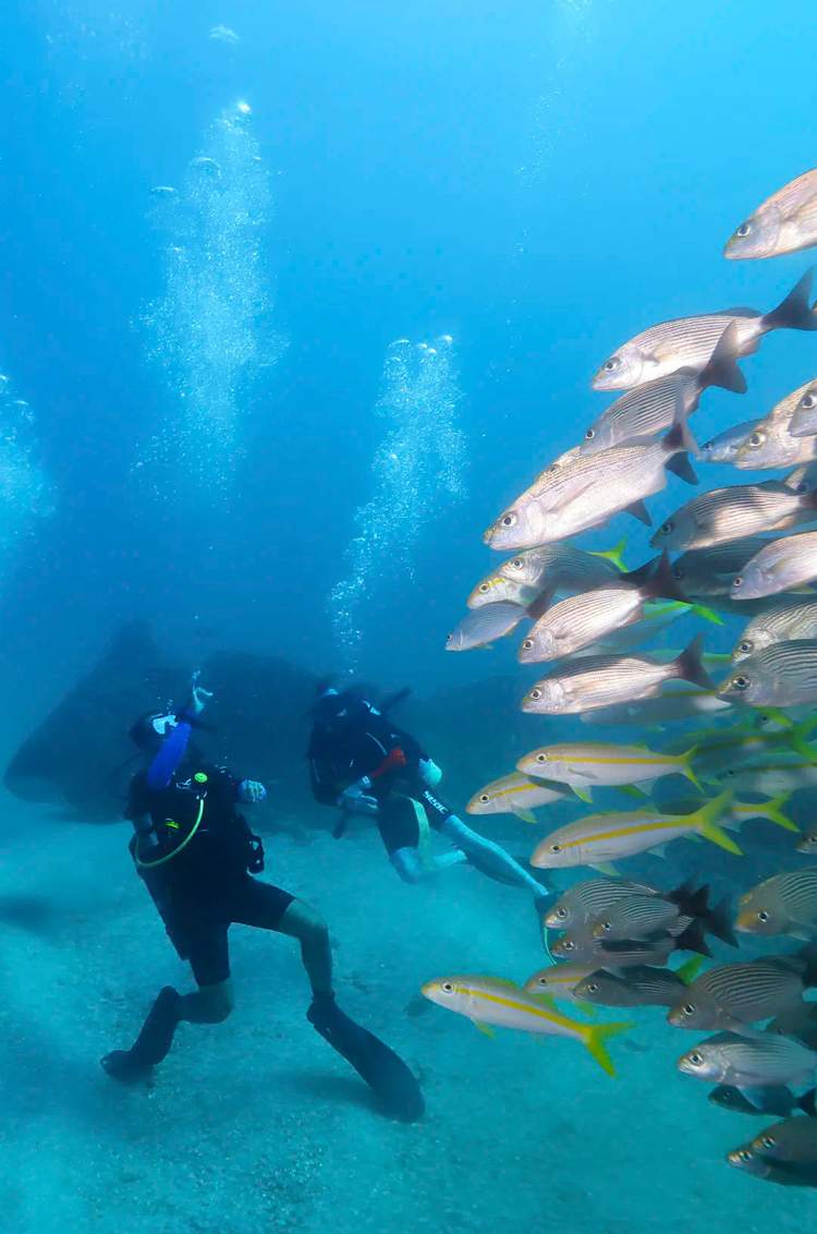 Divers refreshing their dive knowledge and scuba skills with the only Puerto Vallarta PADI 5 Star Dive Center.