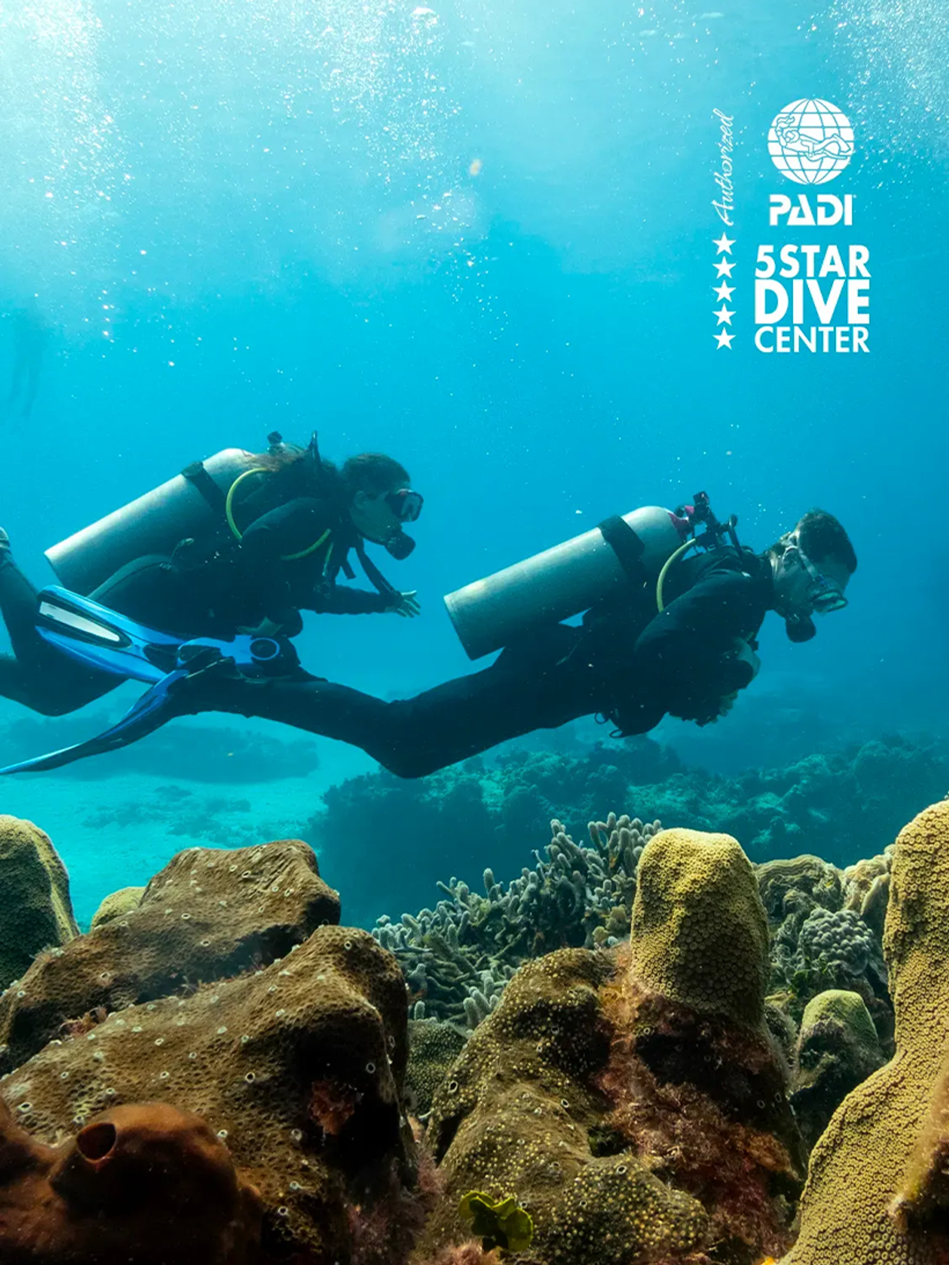 I Am A Certified Diver