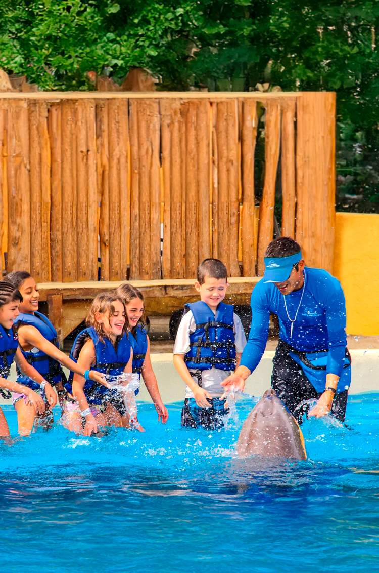Children playing with a dolphin, one of the best things do on a vacation with kids in Puerto Vallarta.
