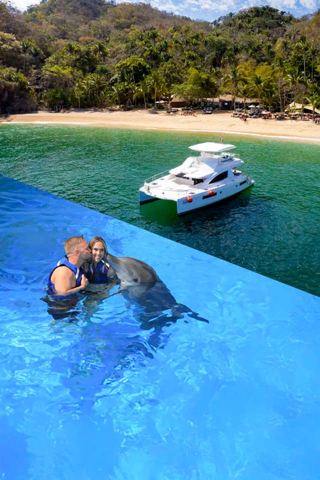 Puerto Vallarta tour package with a dolphin swim and a snorkeling tour.