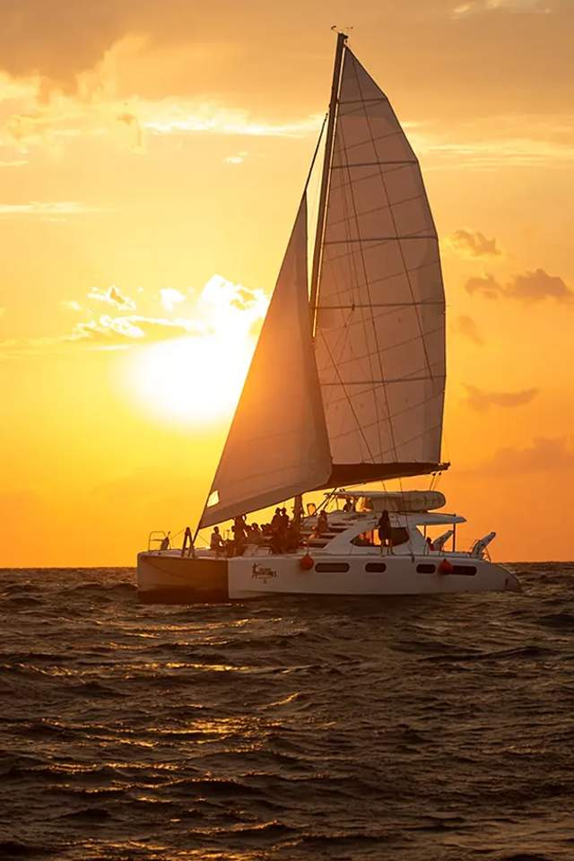 Paseo al Atardecer de Año Nuevo en Puerto Vallarta con Vallarta Adventures
