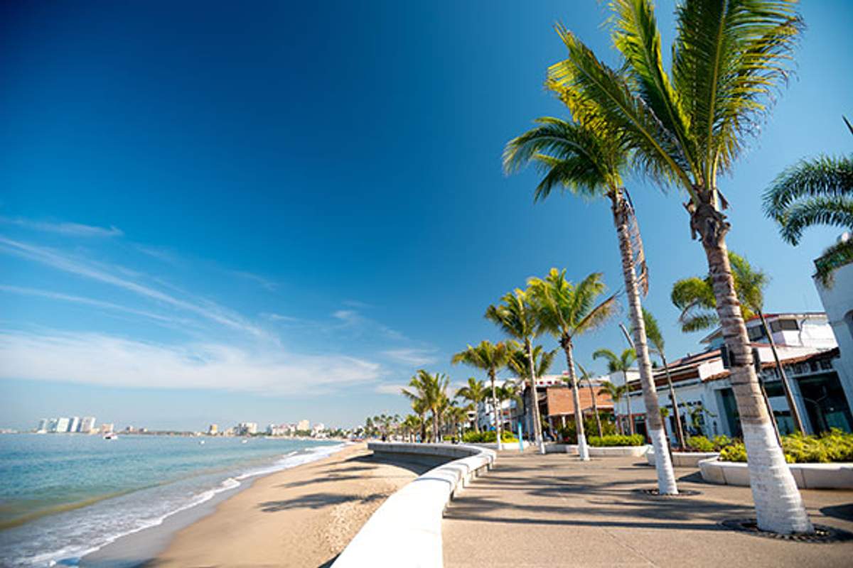 El Malecón de Puerto Vallarta con su paseo bordeado de palmeras a lo largo de la playa de arena y un cielo azul claro.