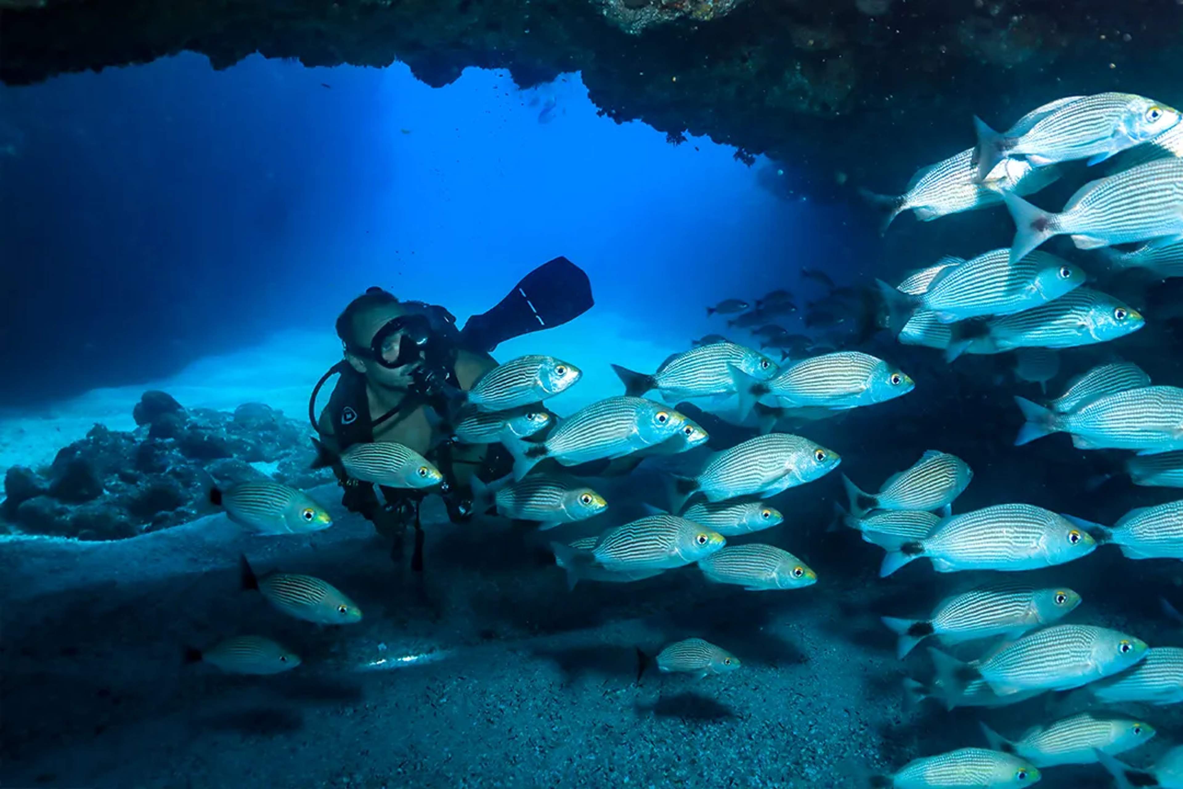 Scuba diver exploring an underwater rock formation surrounded by tropical fish in Puerto Vallarta