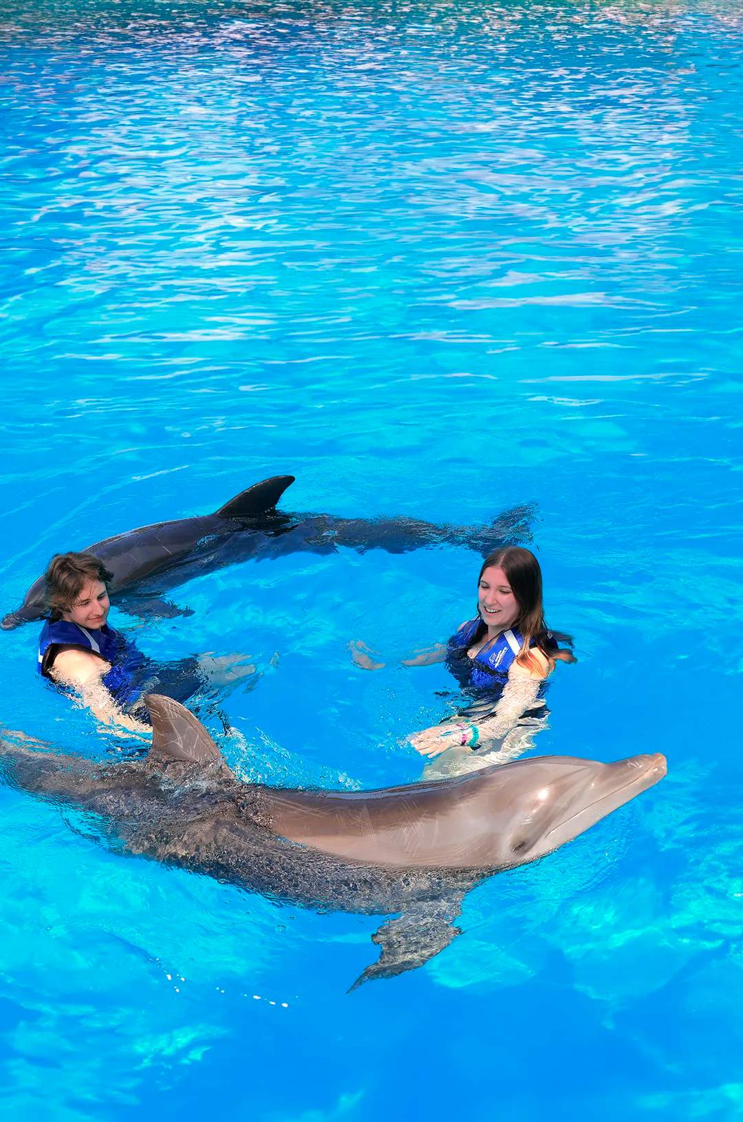 Swim with dolphins as part of a Puerto Vallarta tour package.