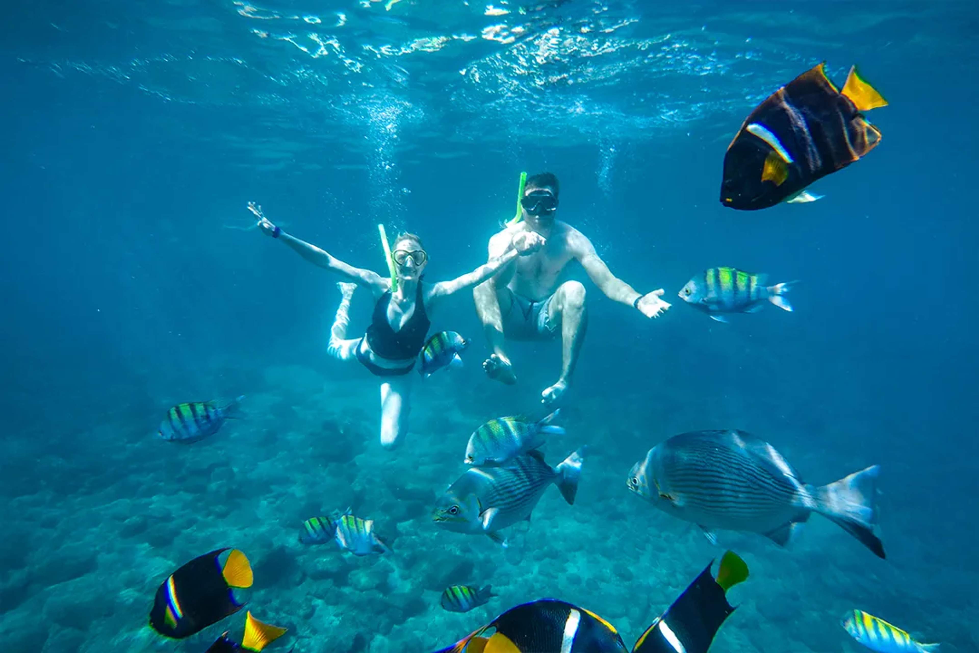 Pareja haciendo esnórquel en aguas cristalinas, rodeada de peces tropicales y arrecife.