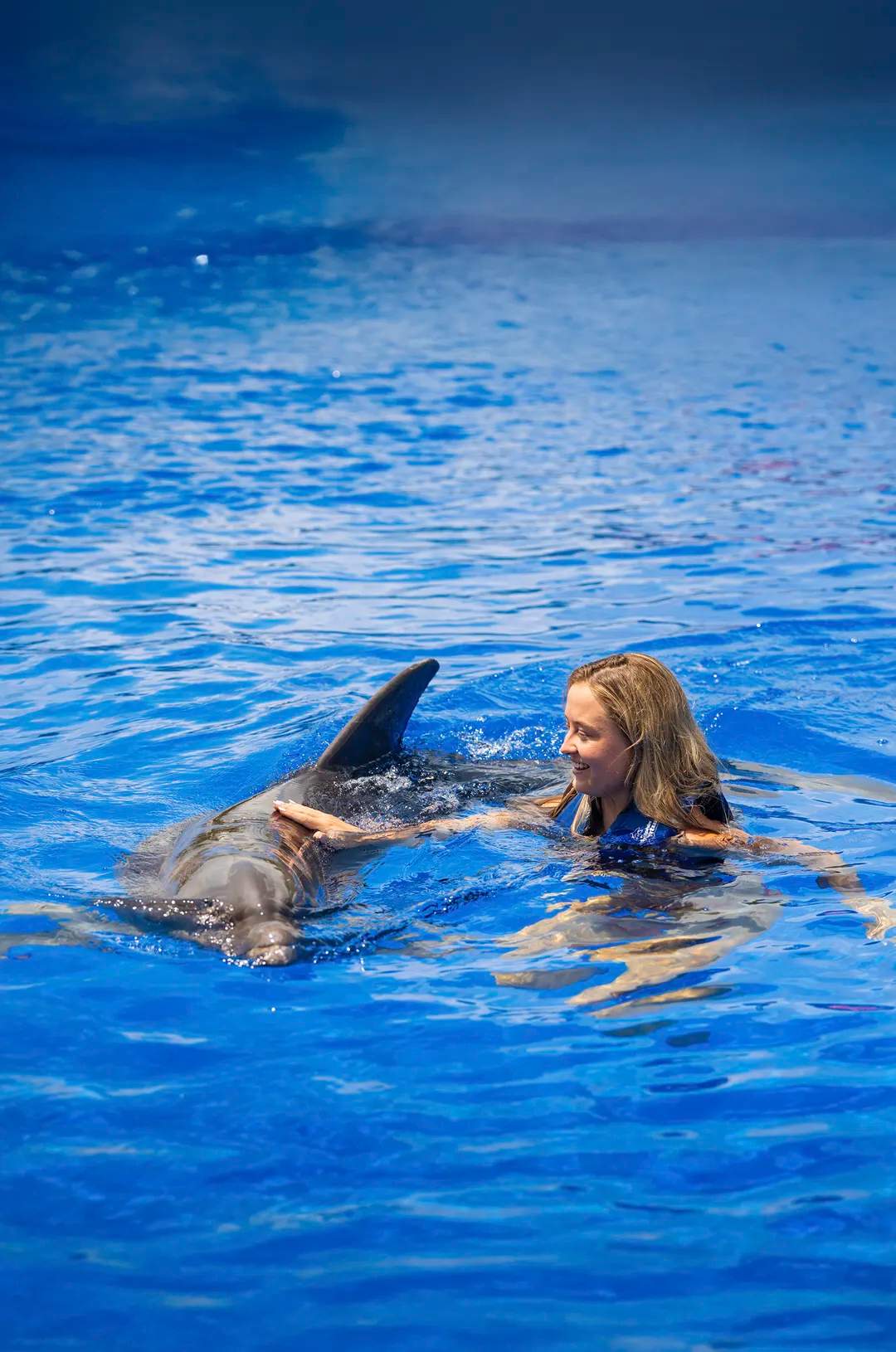 Girl softly touching a dolphin swimming near her.