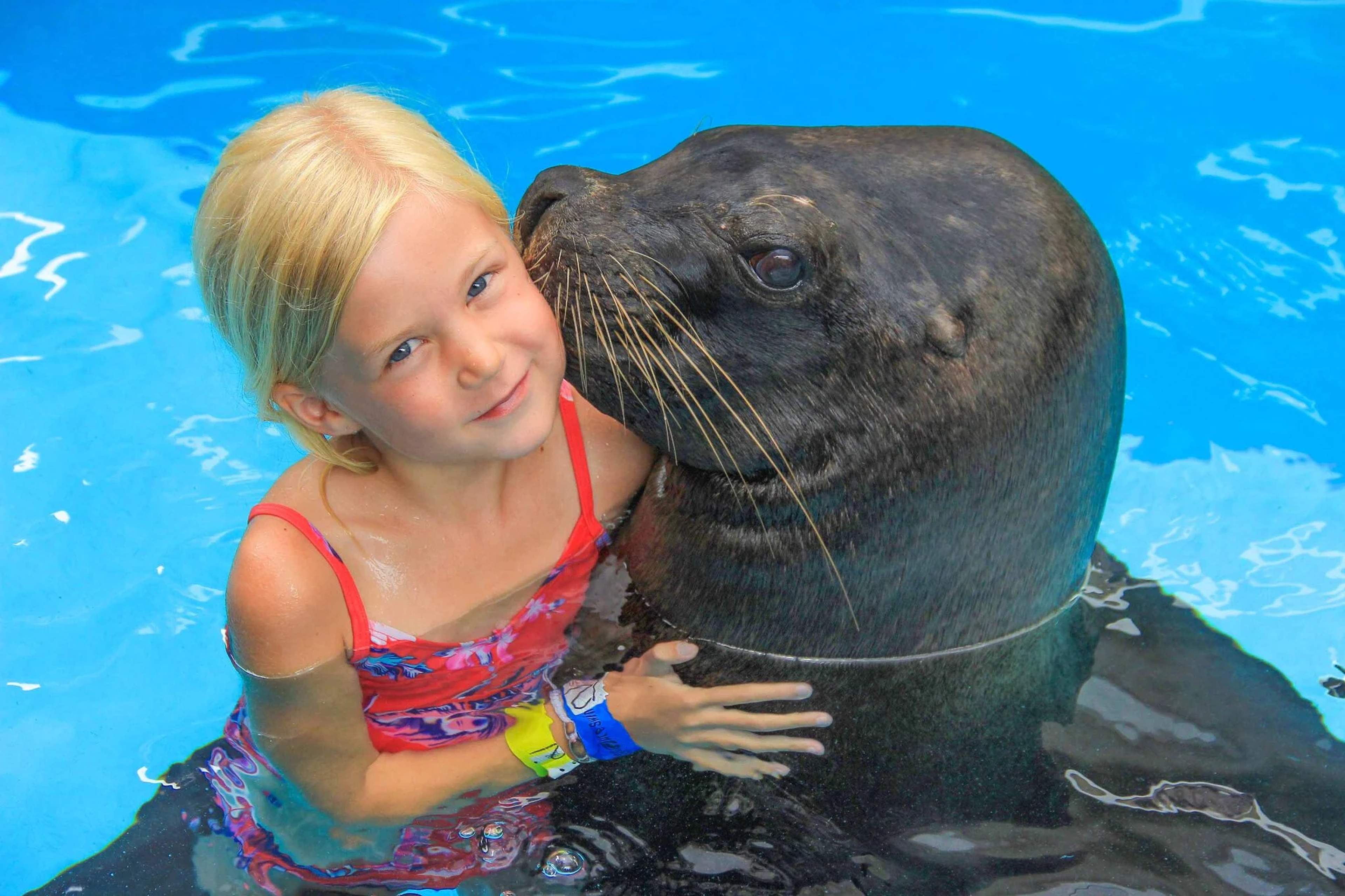 A young girl in a red swimsuit smiles while hugging a sea lion in a pool during an encounter in Puerto Vallarta.