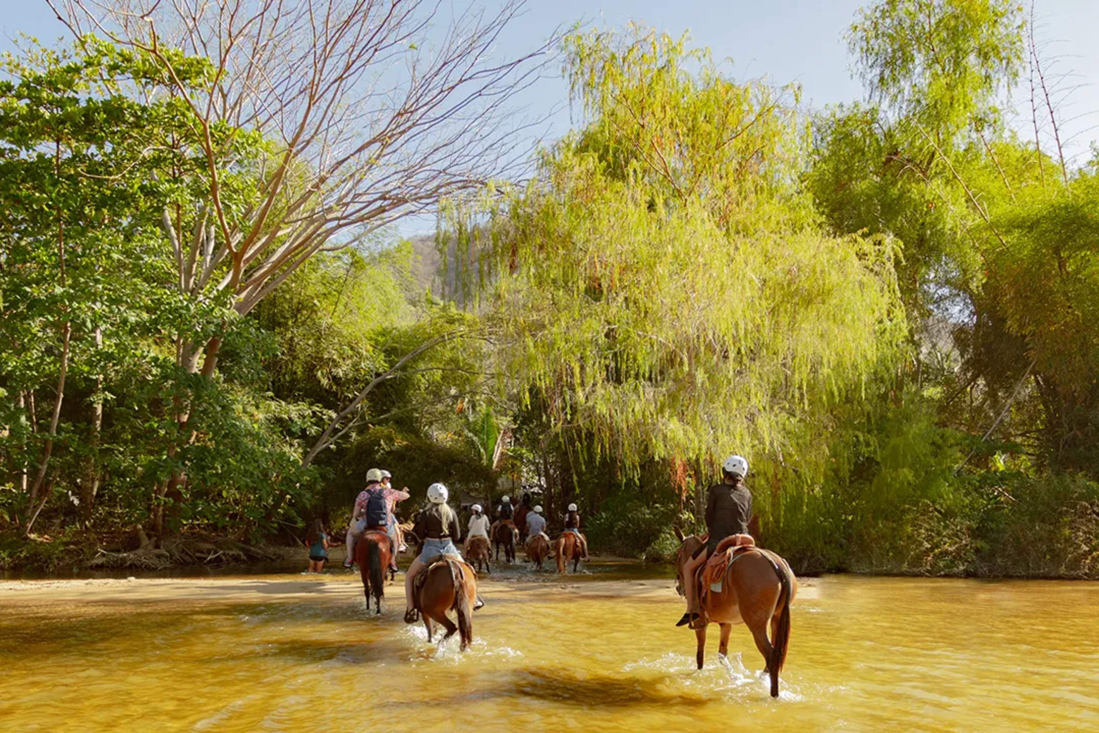 Grupo a caballo cruzando un río poco profundo, rodeado de selva verde y frondosa.