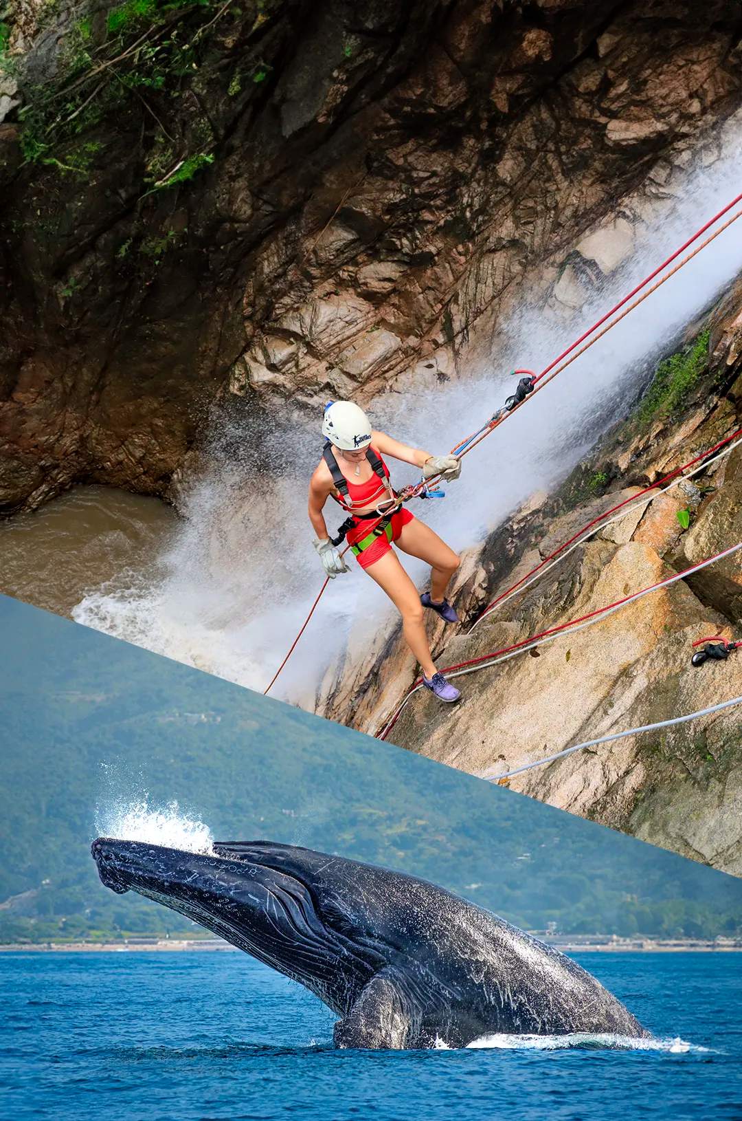 Puerto Vallarta Tour Package with whale watching, plus ziplines and rappel.
