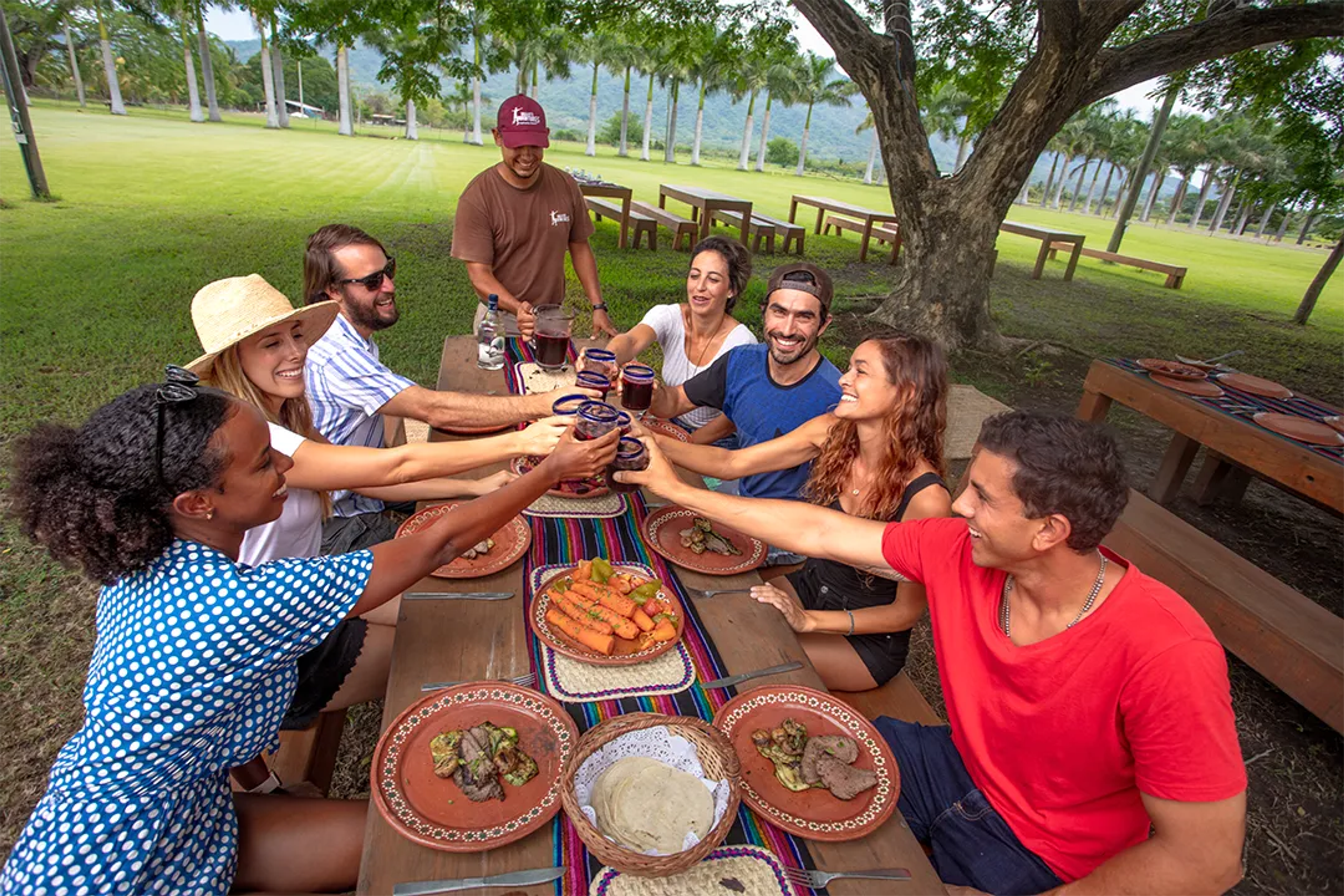 Grupo de amigos brindando al aire libre con comida mexicana tradicional bajo un gran árbol.