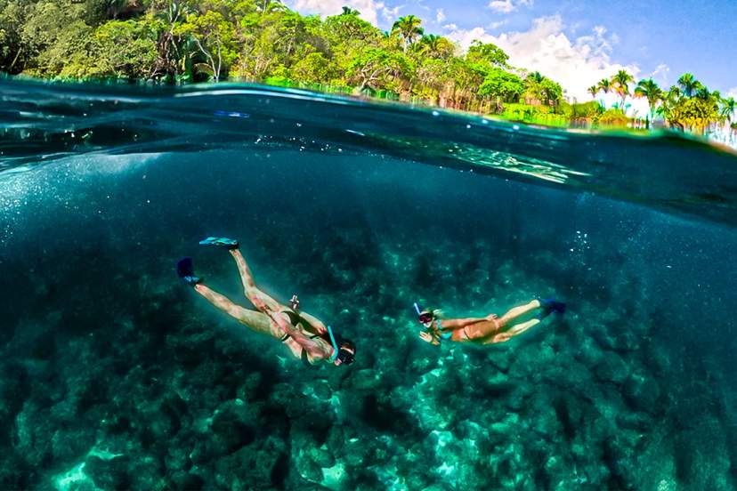 Snorkeling in Riviera Maya with crystal-clear waters, coral reefs, and tropical marine life exploration.