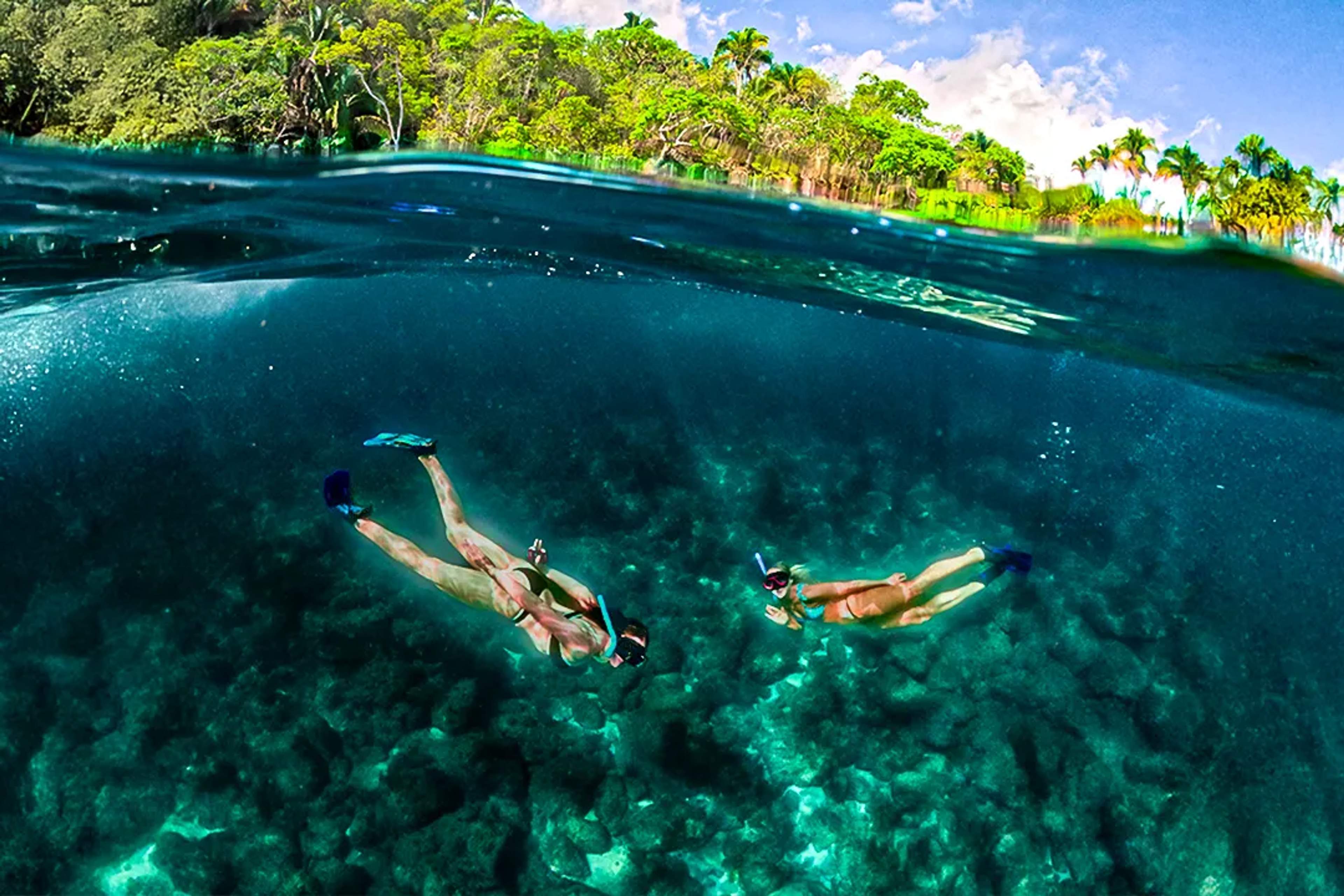 Snorkel en Riviera Maya con aguas cristalinas, arrecifes de coral y vida marina en un paraíso tropical.