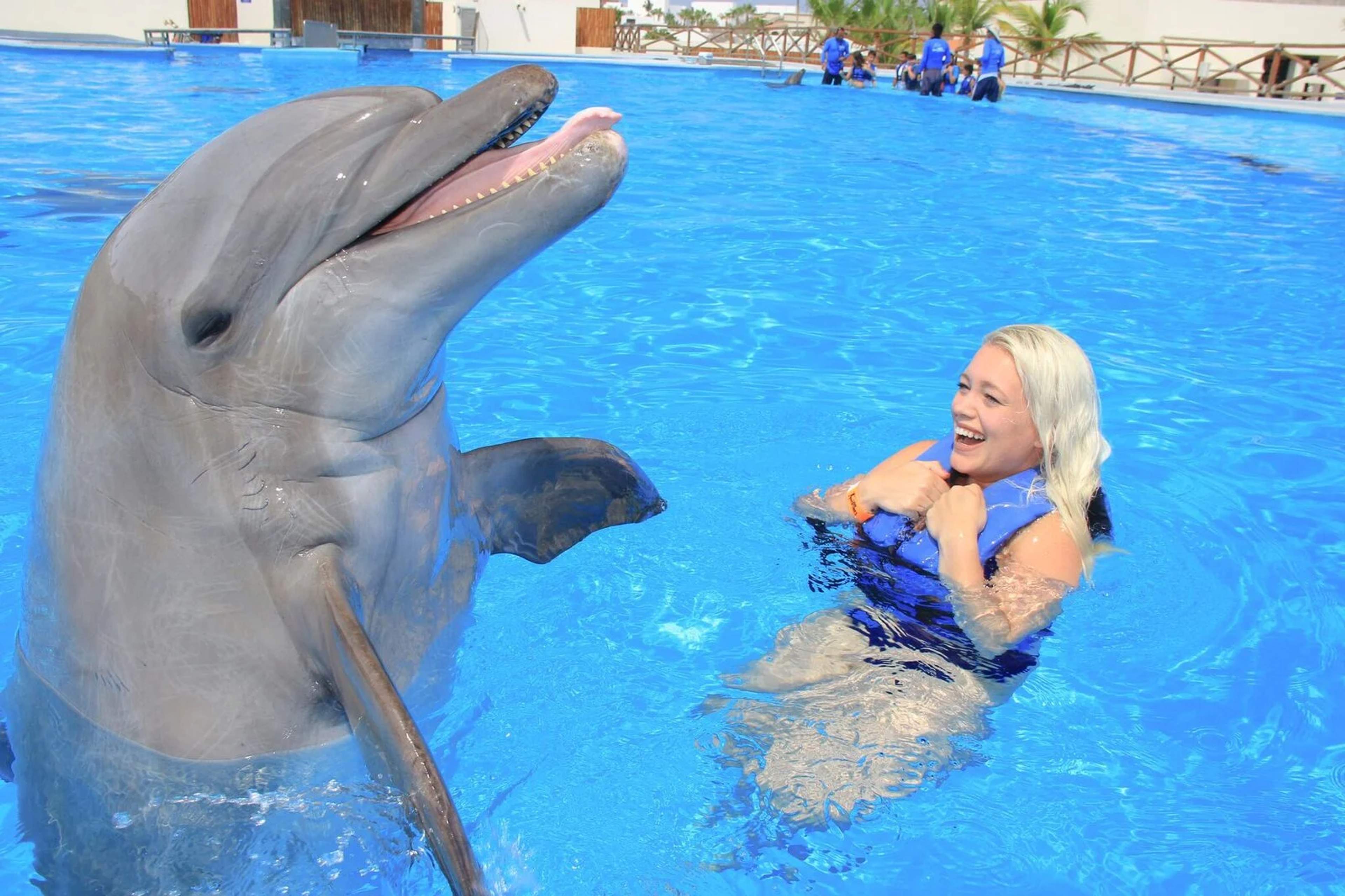 Are Dolphins Cleverer Than Humans? Unveiling Intelligence Mysteries