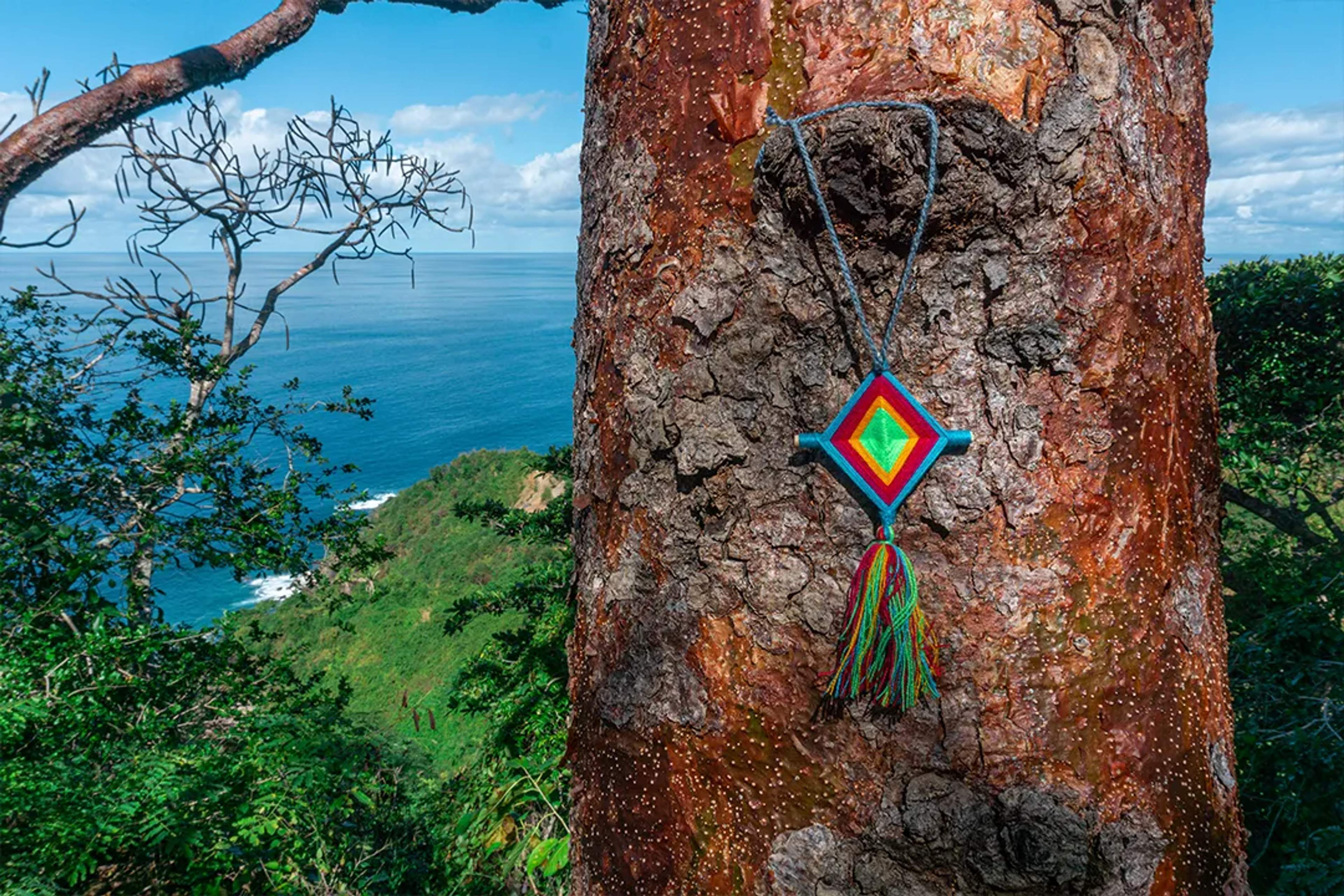 Un colorido Ojo de Dios huichol cuelga de un árbol con vista al mar al fondo.