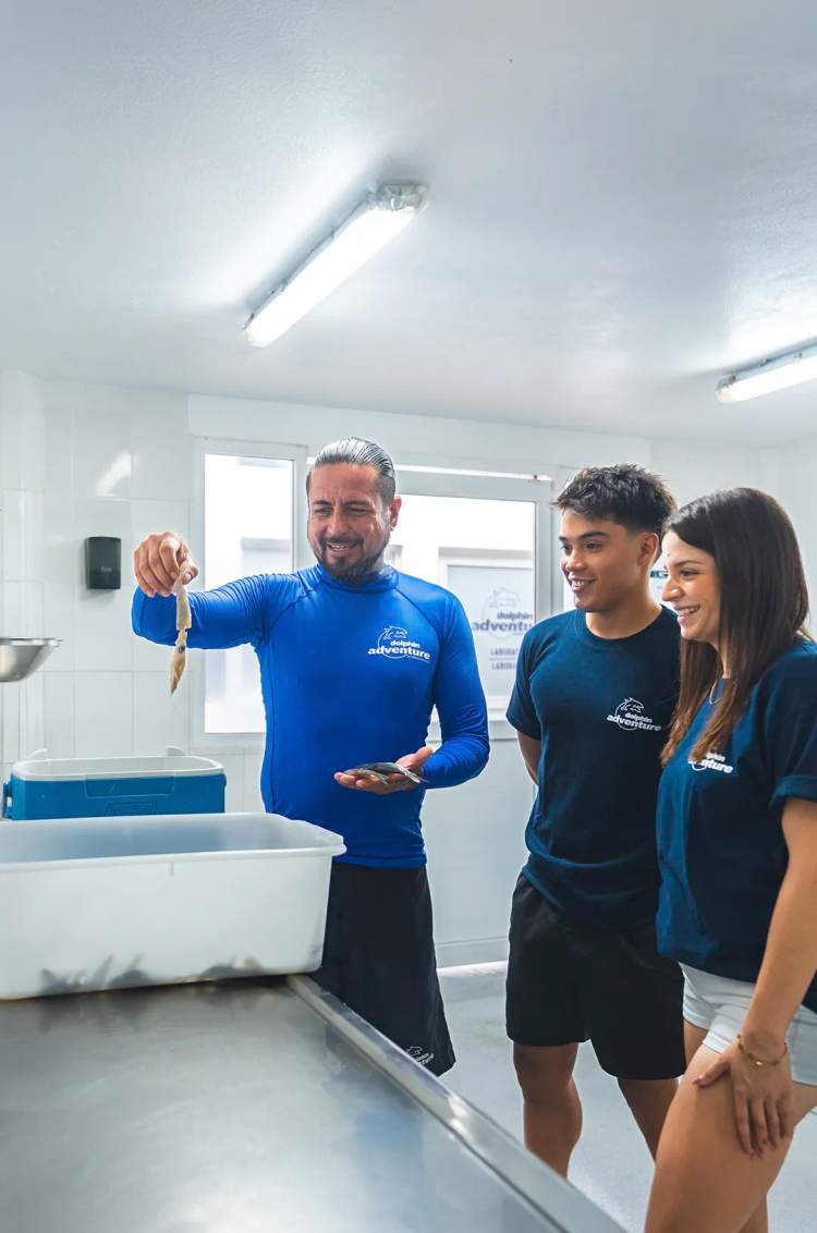 Marine Mammal Expert teaching about dolphins diet.